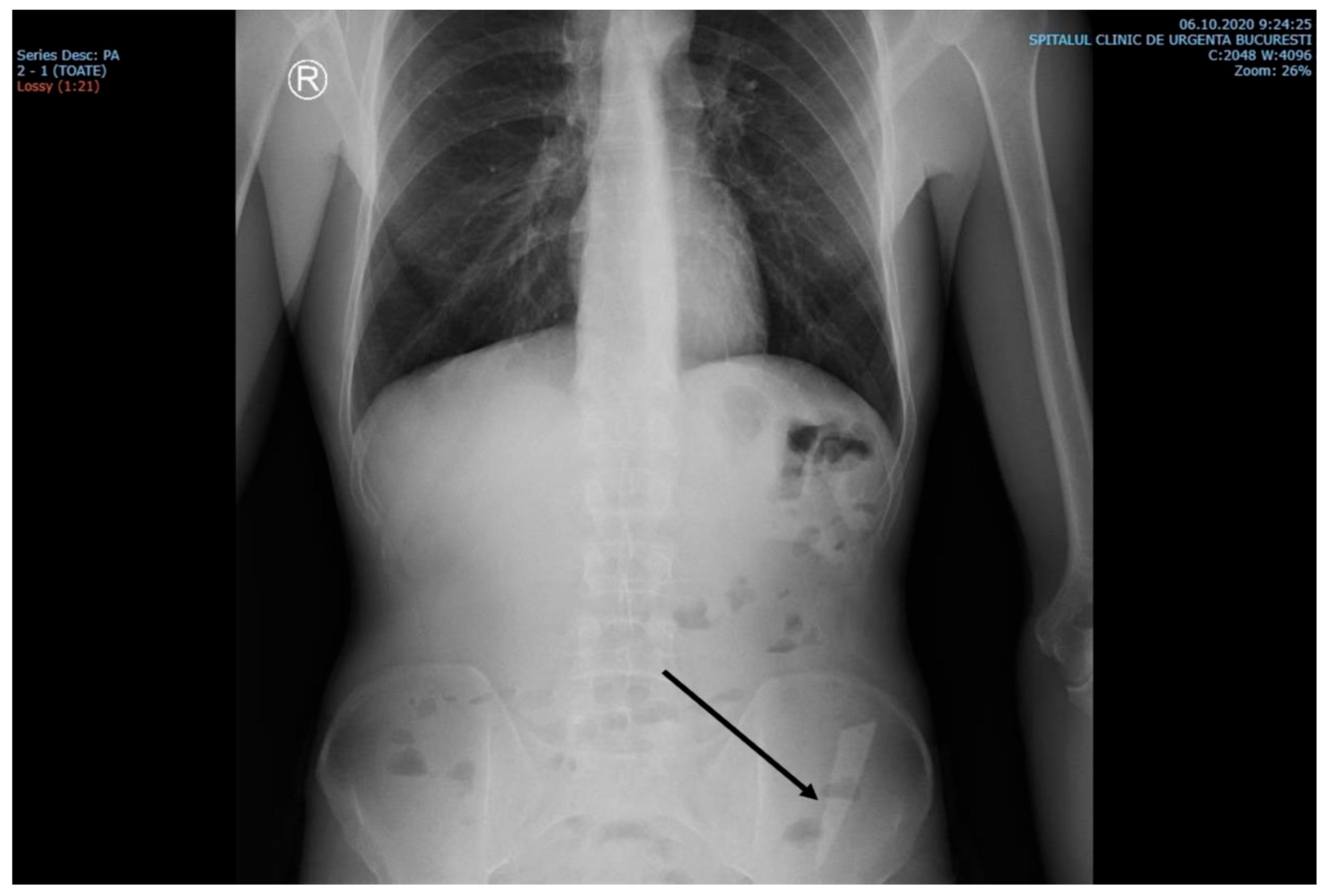 Reports 06 00024 g001