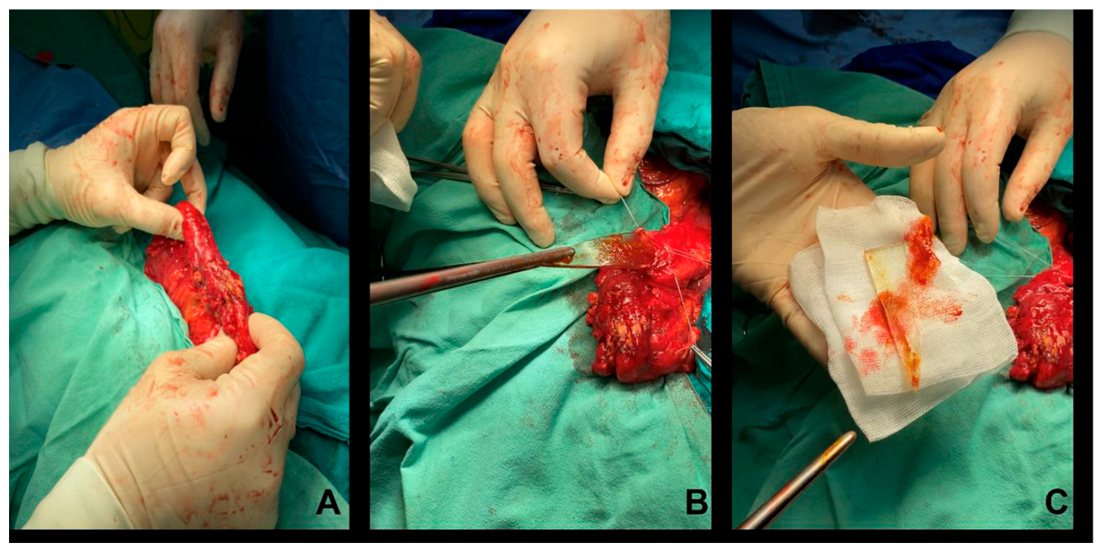 Reports 06 00024 g003