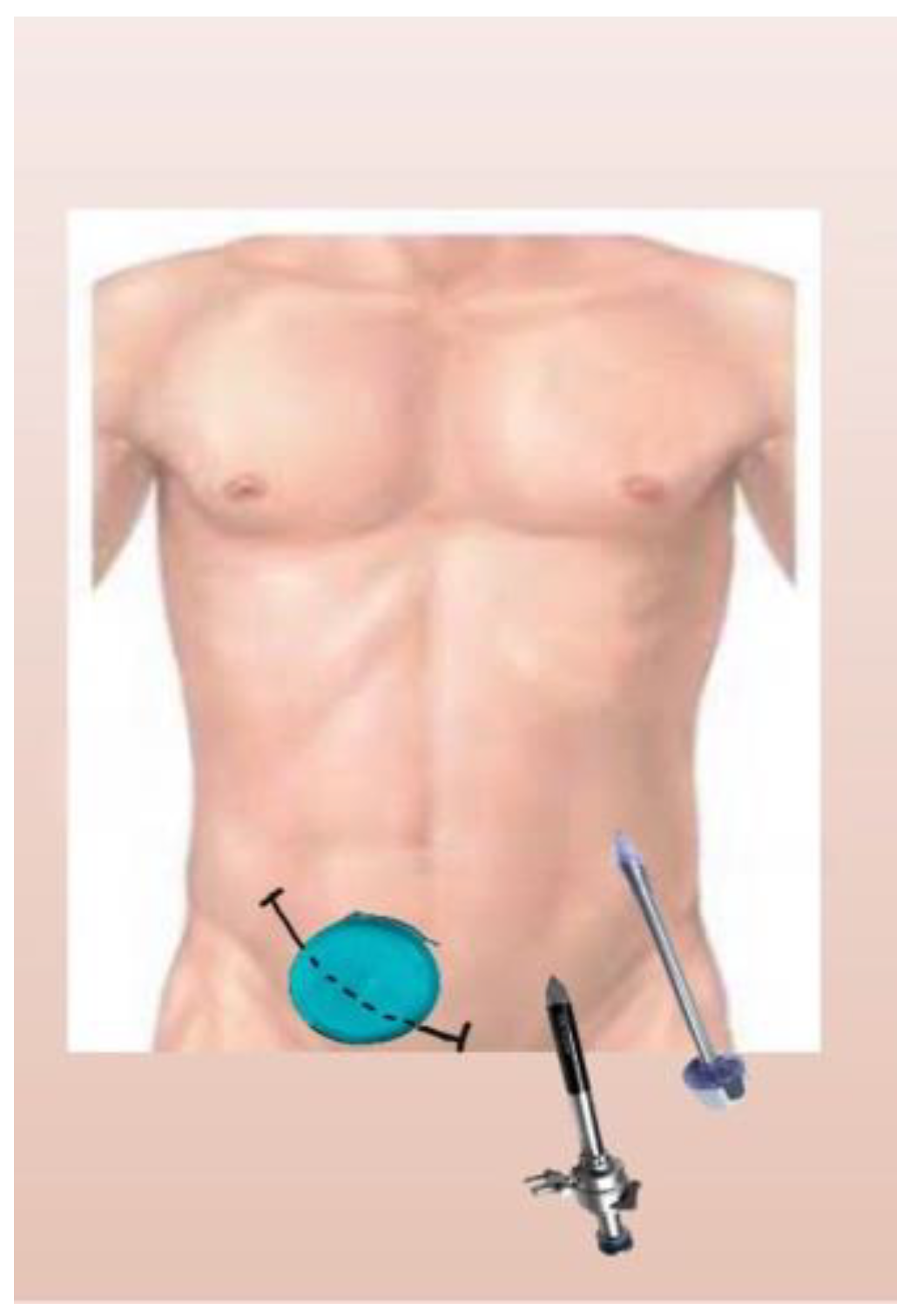 Reports 06 00029 g001