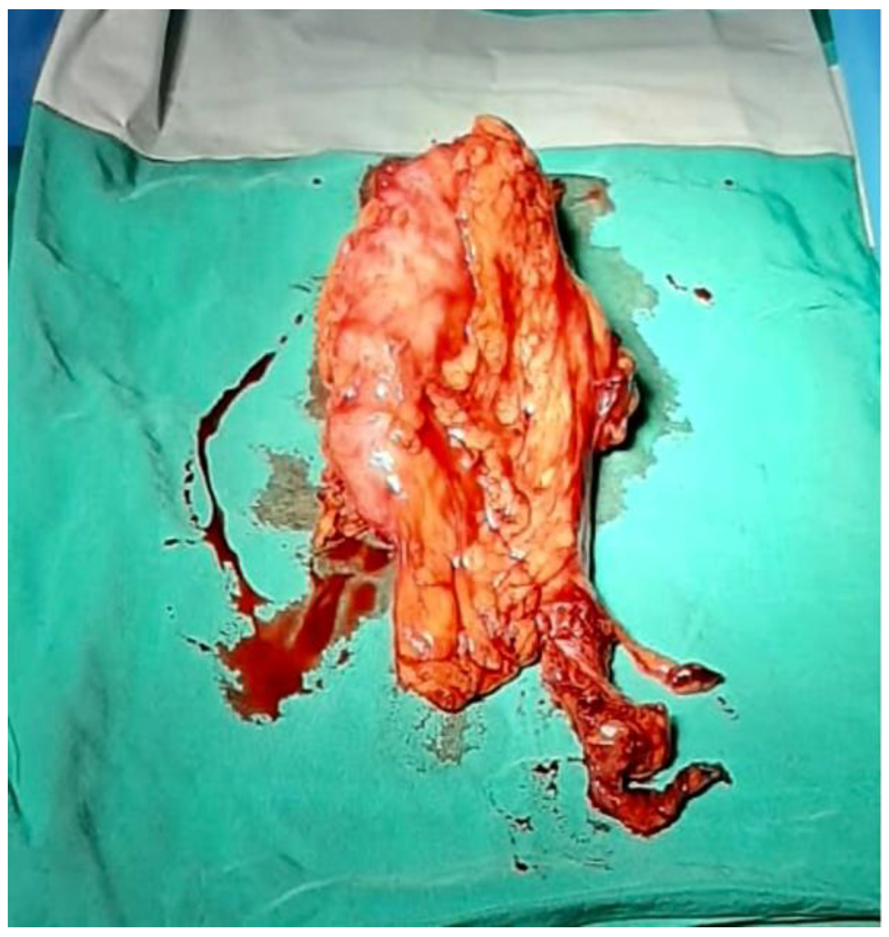 Reports 06 00029 g003