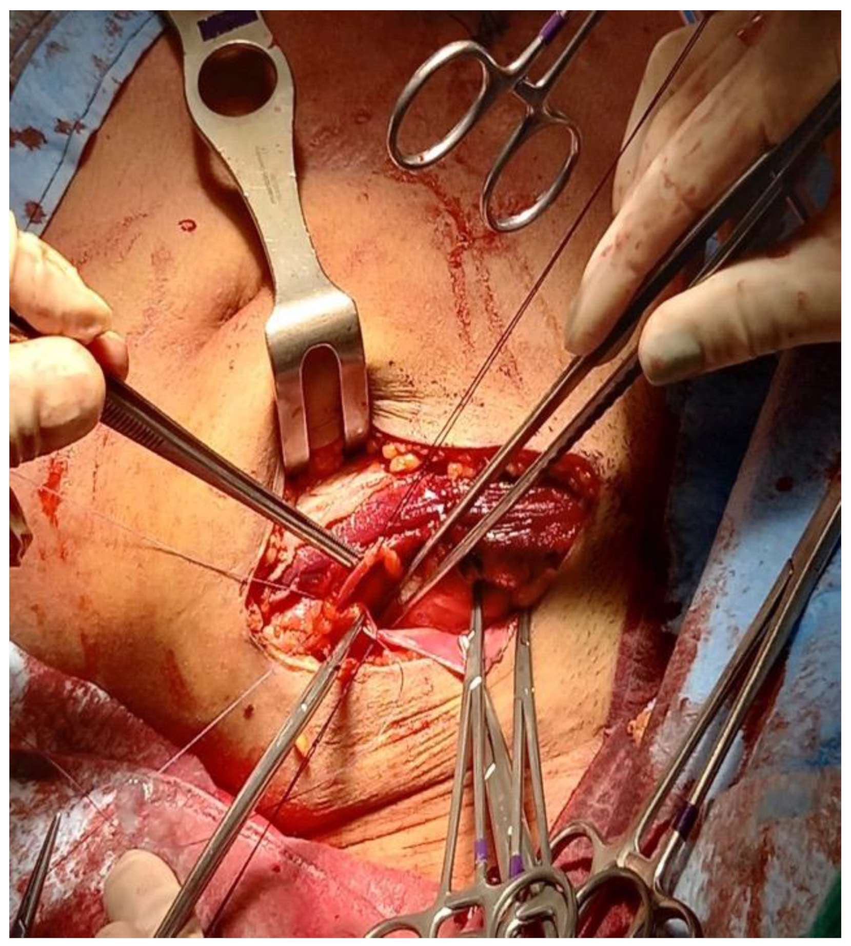 Reports 06 00029 g004