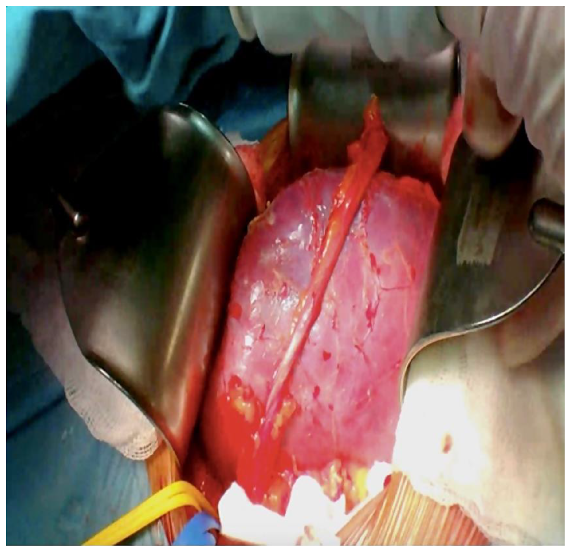 Reports 06 00029 g006