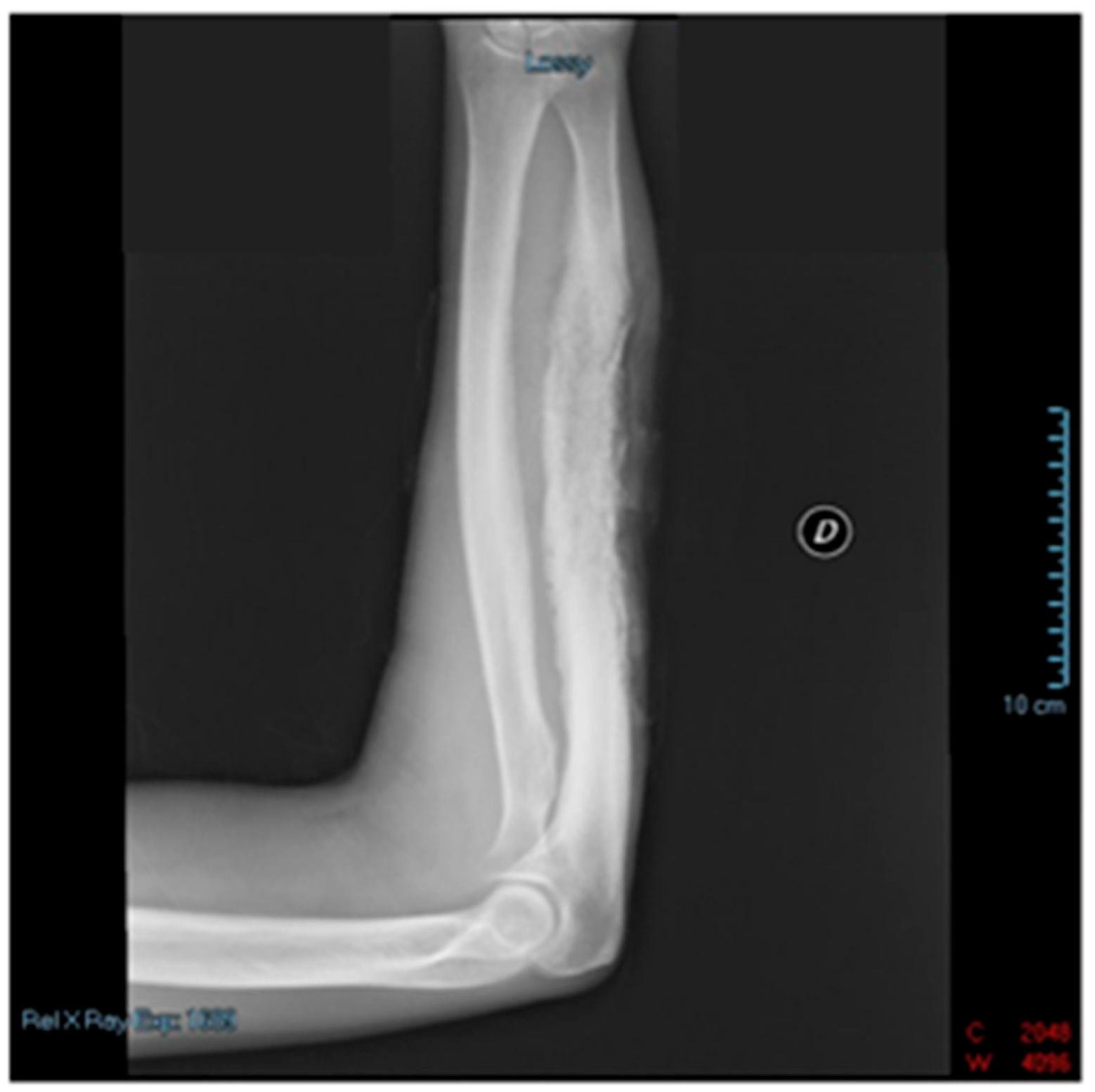 Reports 06 00034 g002