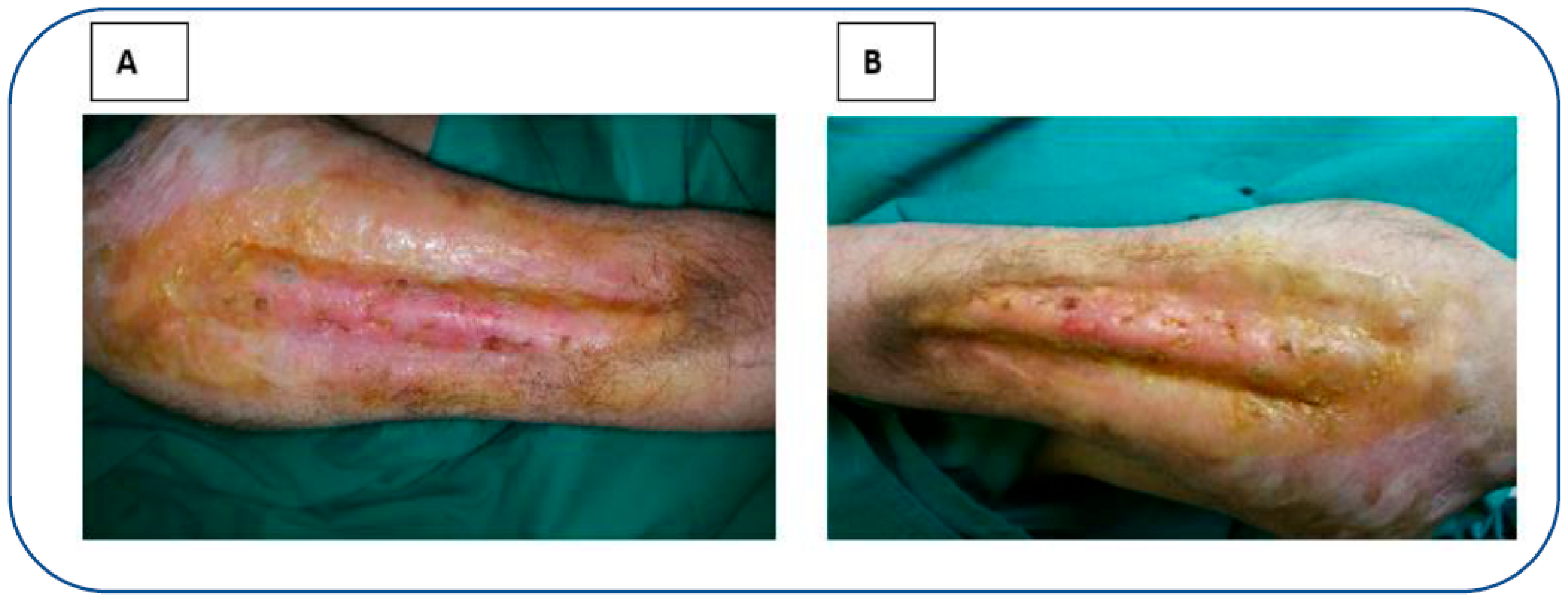 Reports 06 00034 g003