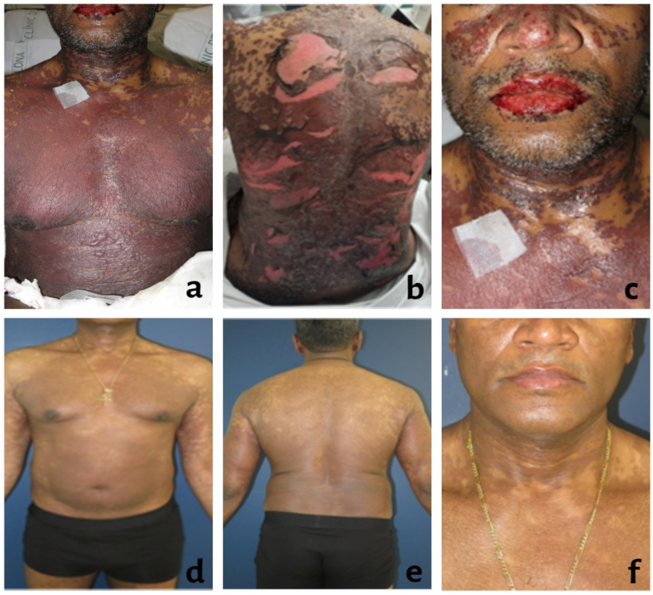 Reports 06 00035 g001