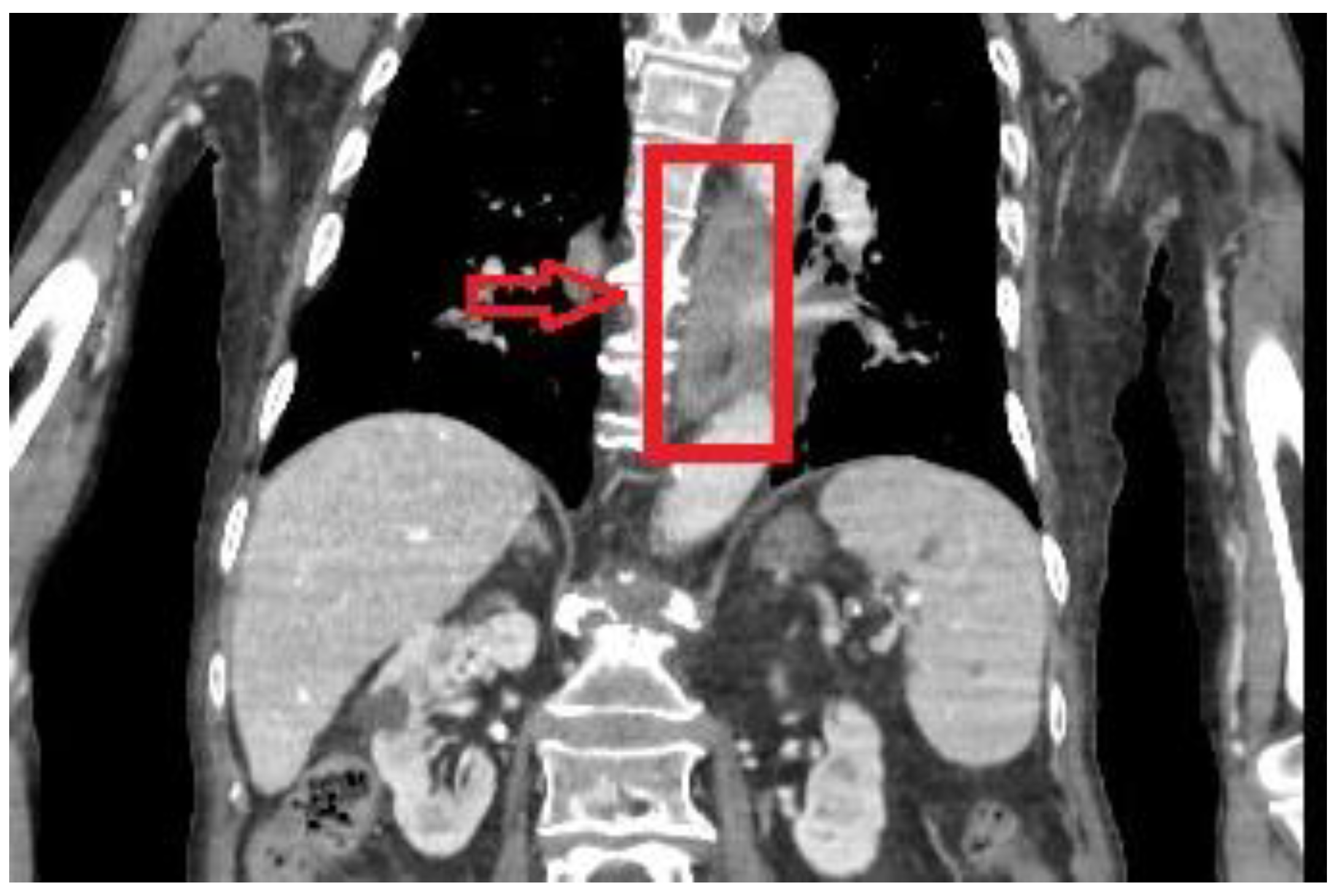 Reports 06 00037 g001 Reports 06 00037 g001