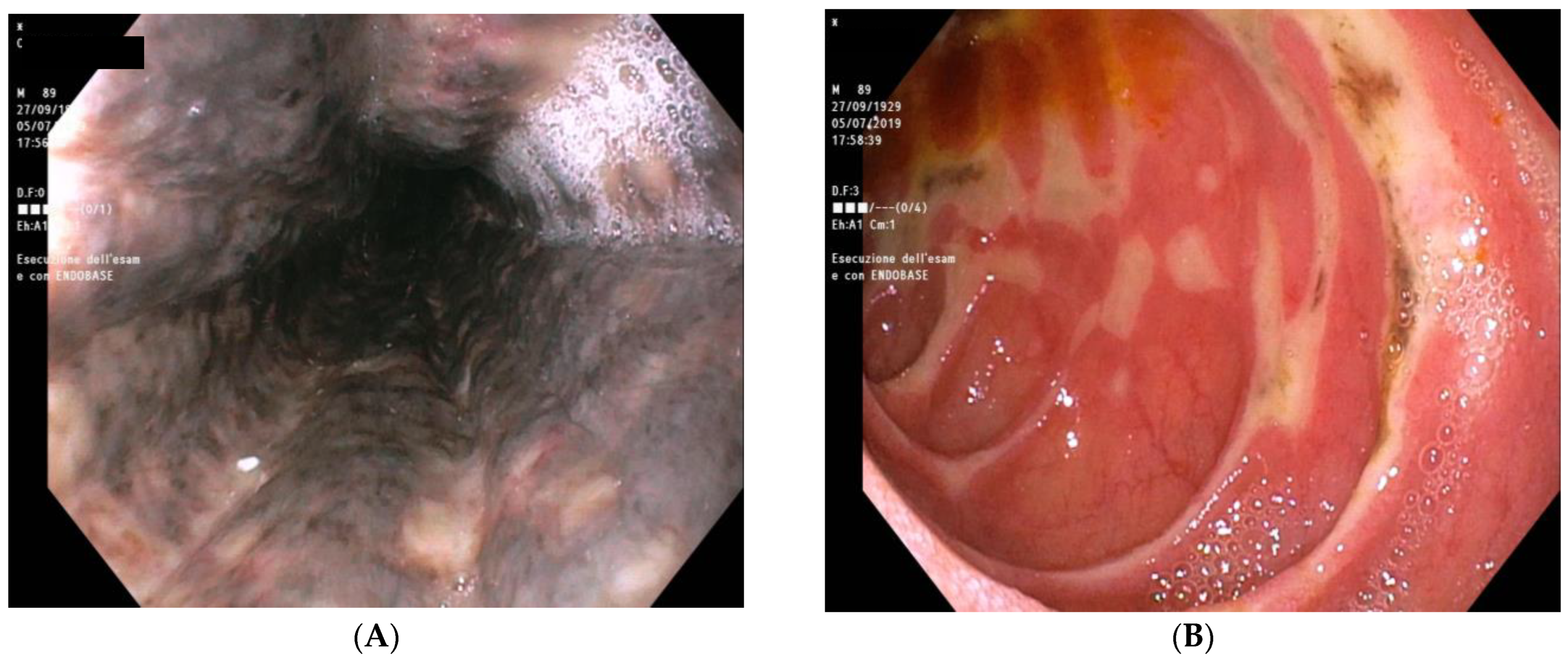 Reports 06 00037 g002 Reports 06 00037 g002