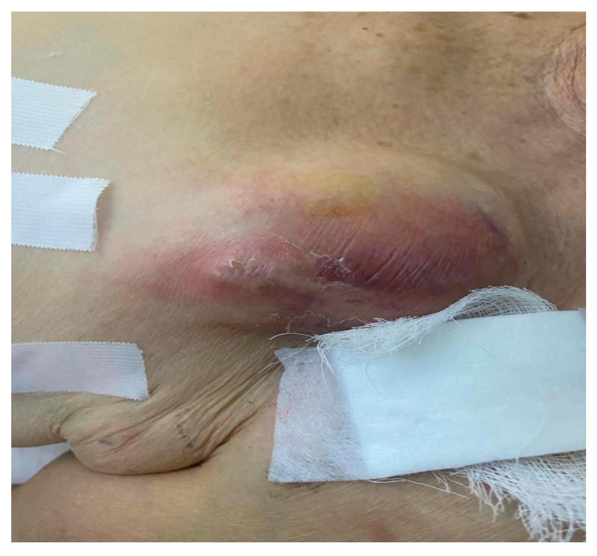 Reports 06 00041 g001