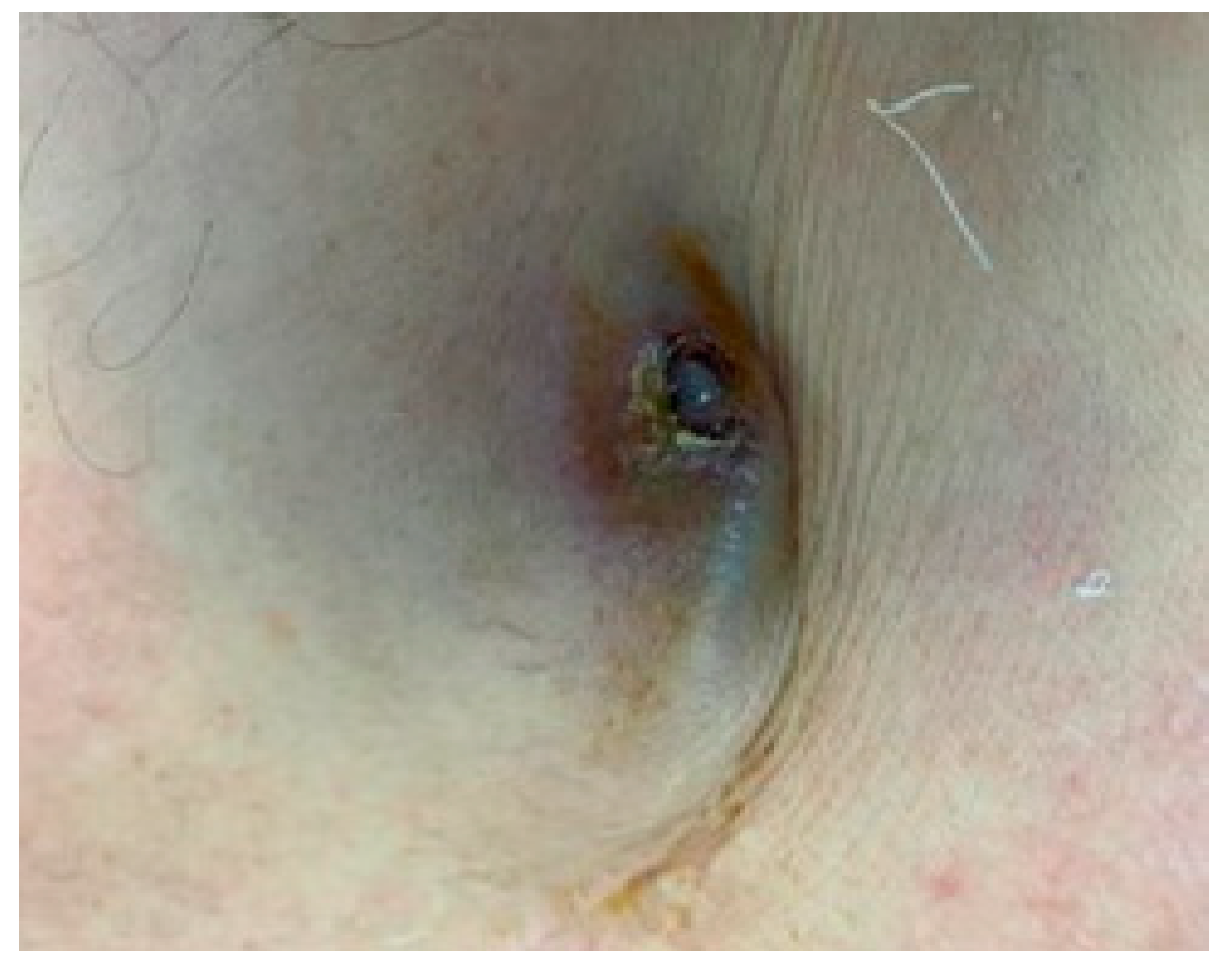 Reports 06 00041 g002