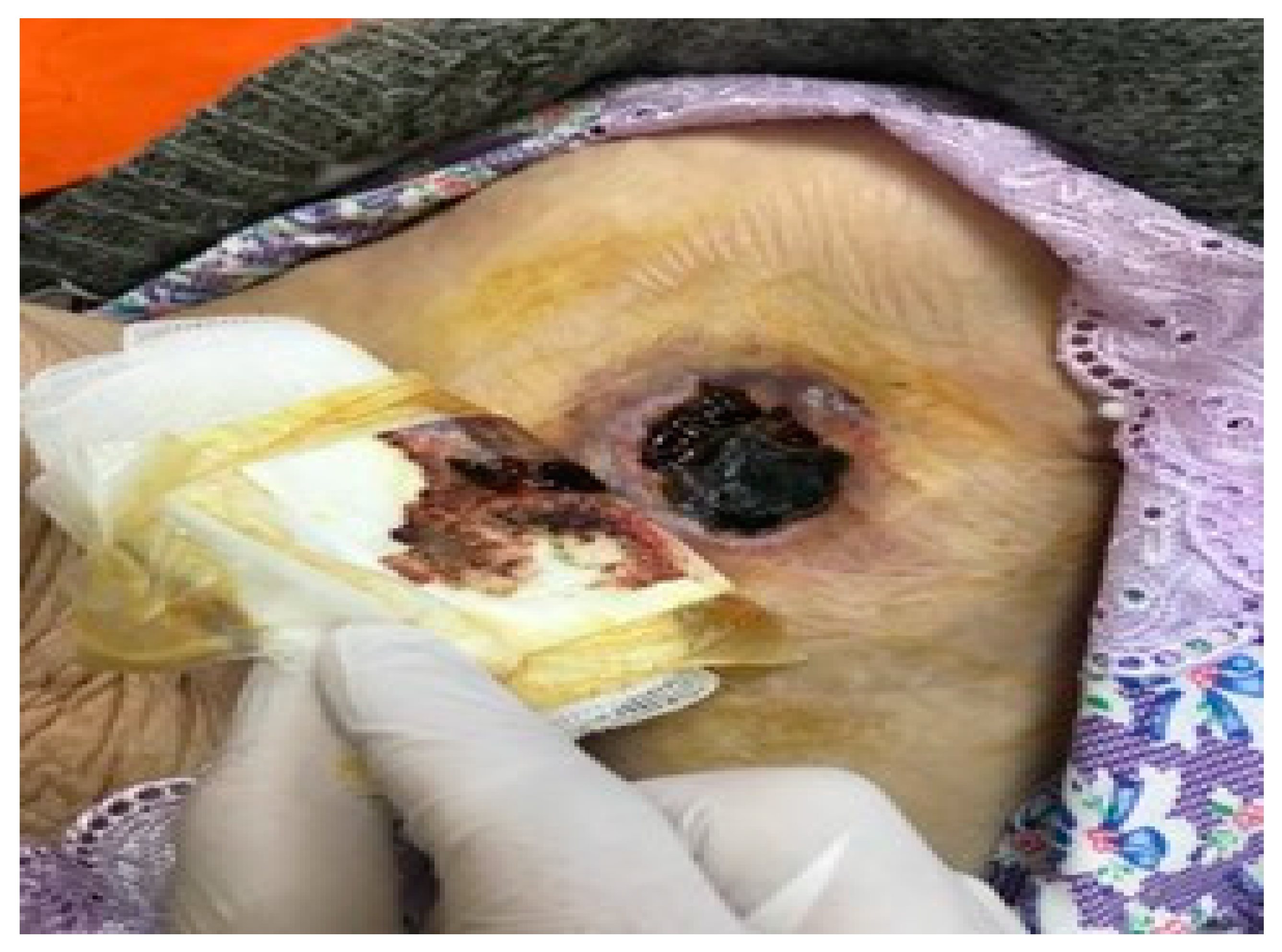 Reports 06 00041 g003