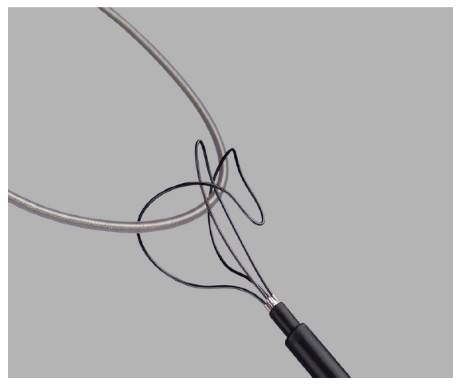 Reports 06 00041 g004