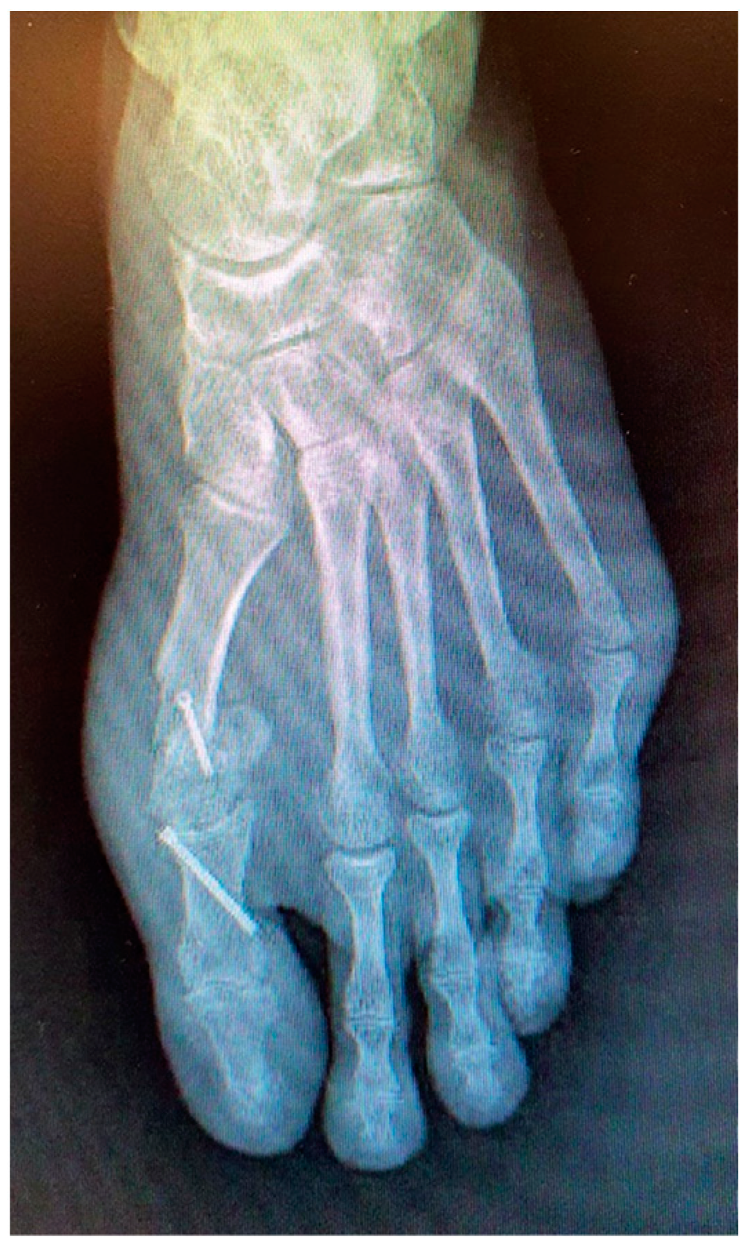 Reports 06 00043 g001