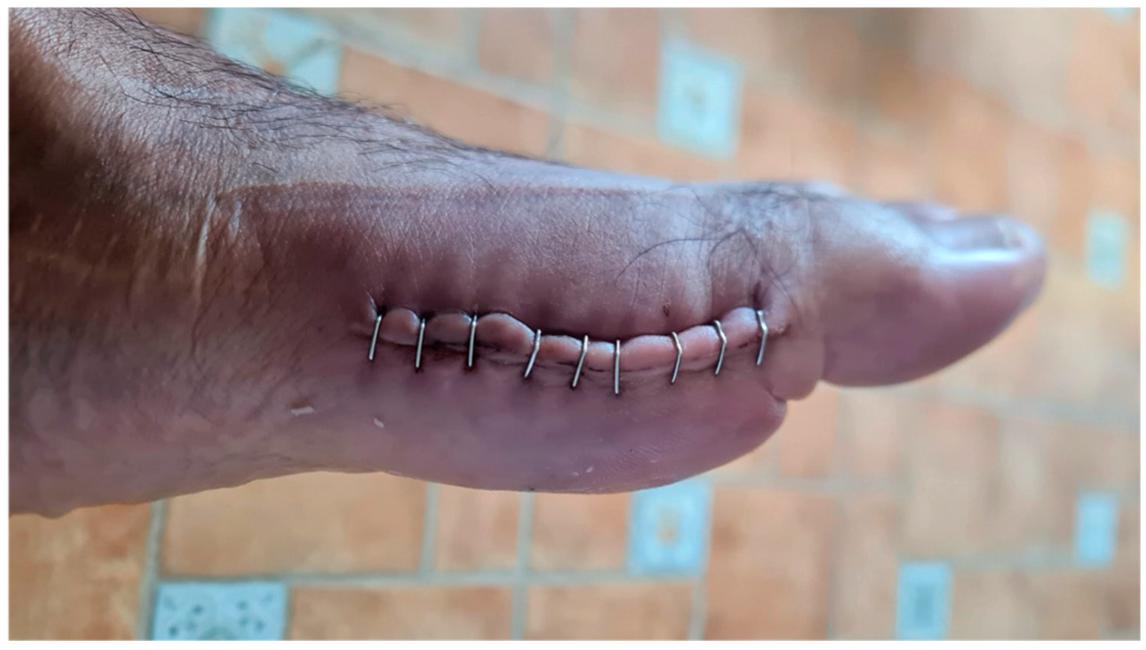 Reports 06 00043 g002