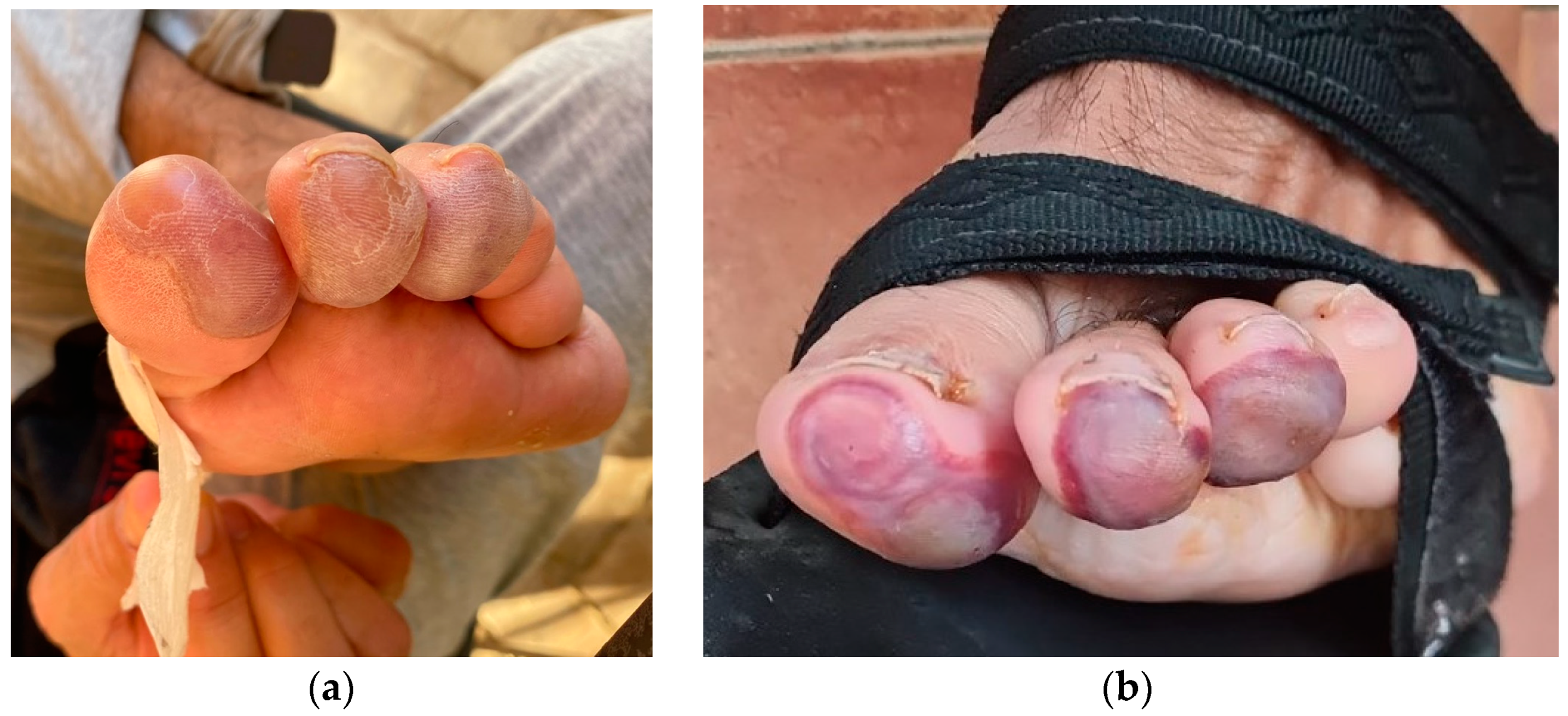 Reports 06 00043 g003