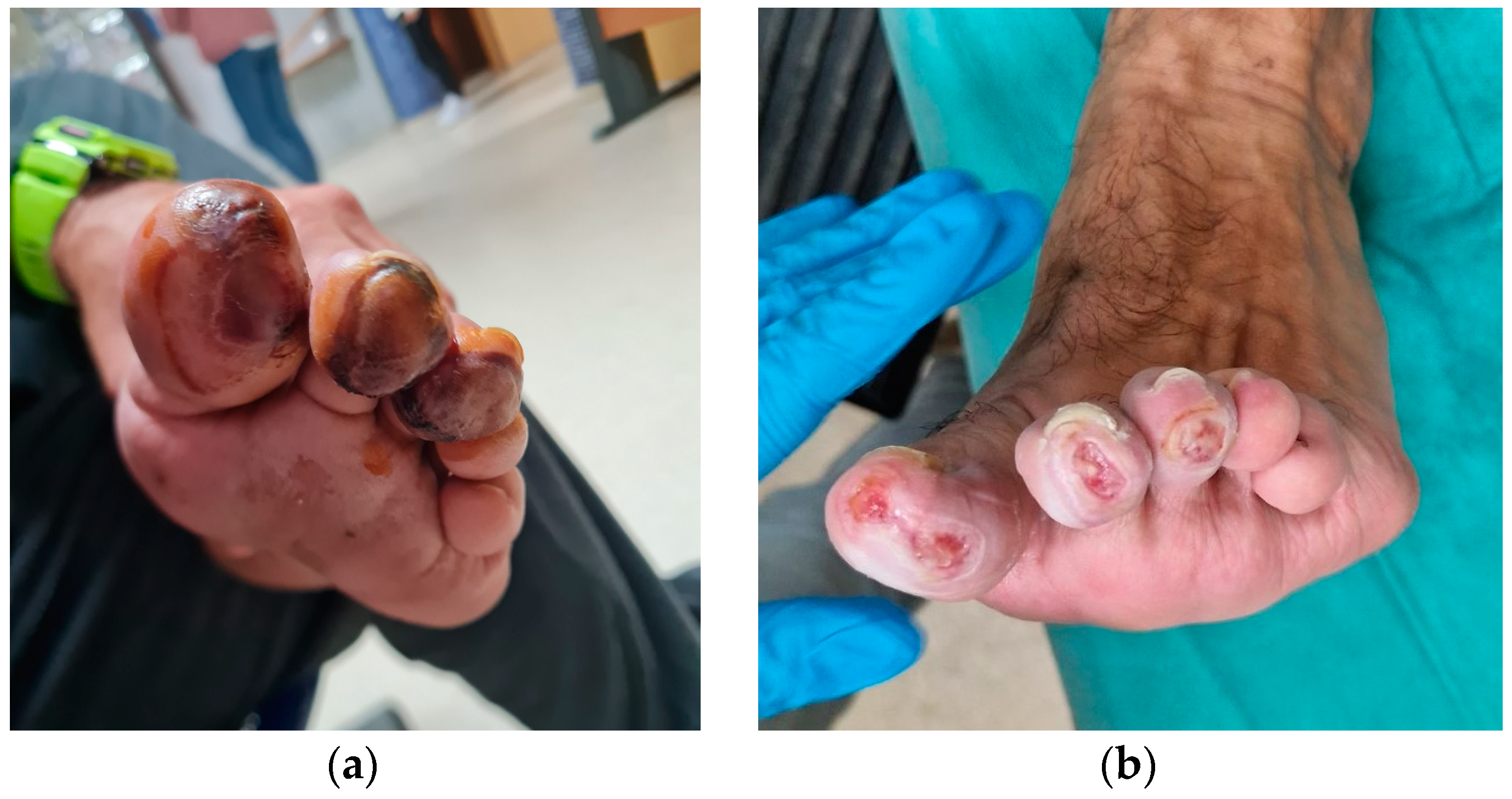 Reports 06 00043 g004