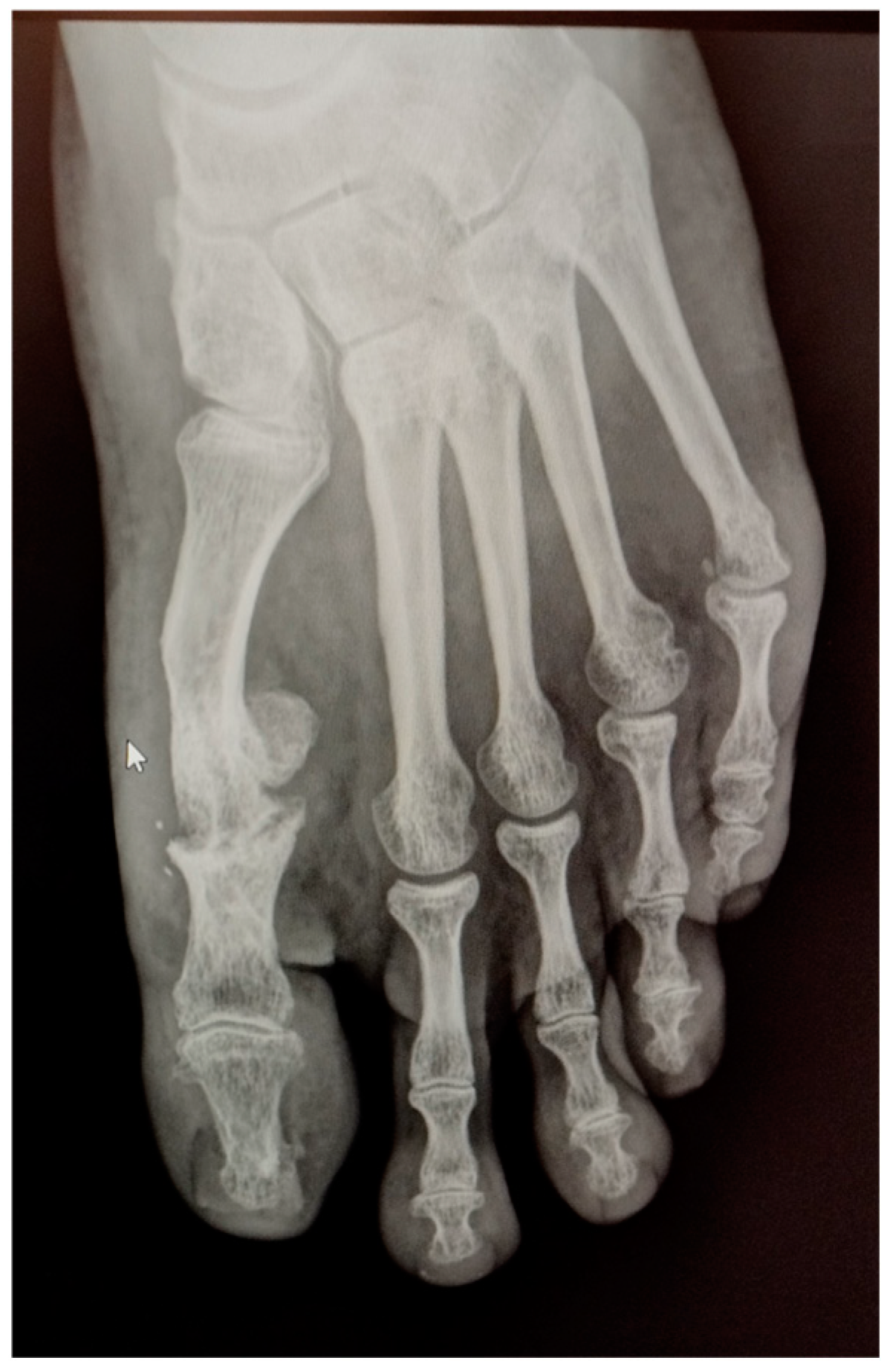 Reports 06 00043 g005