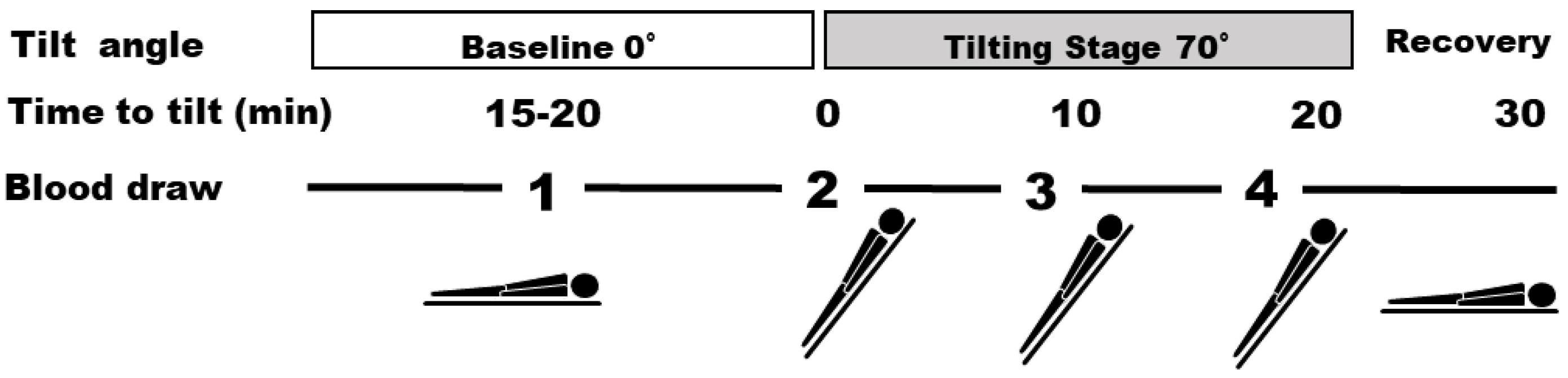 Reports 06 00056 g001