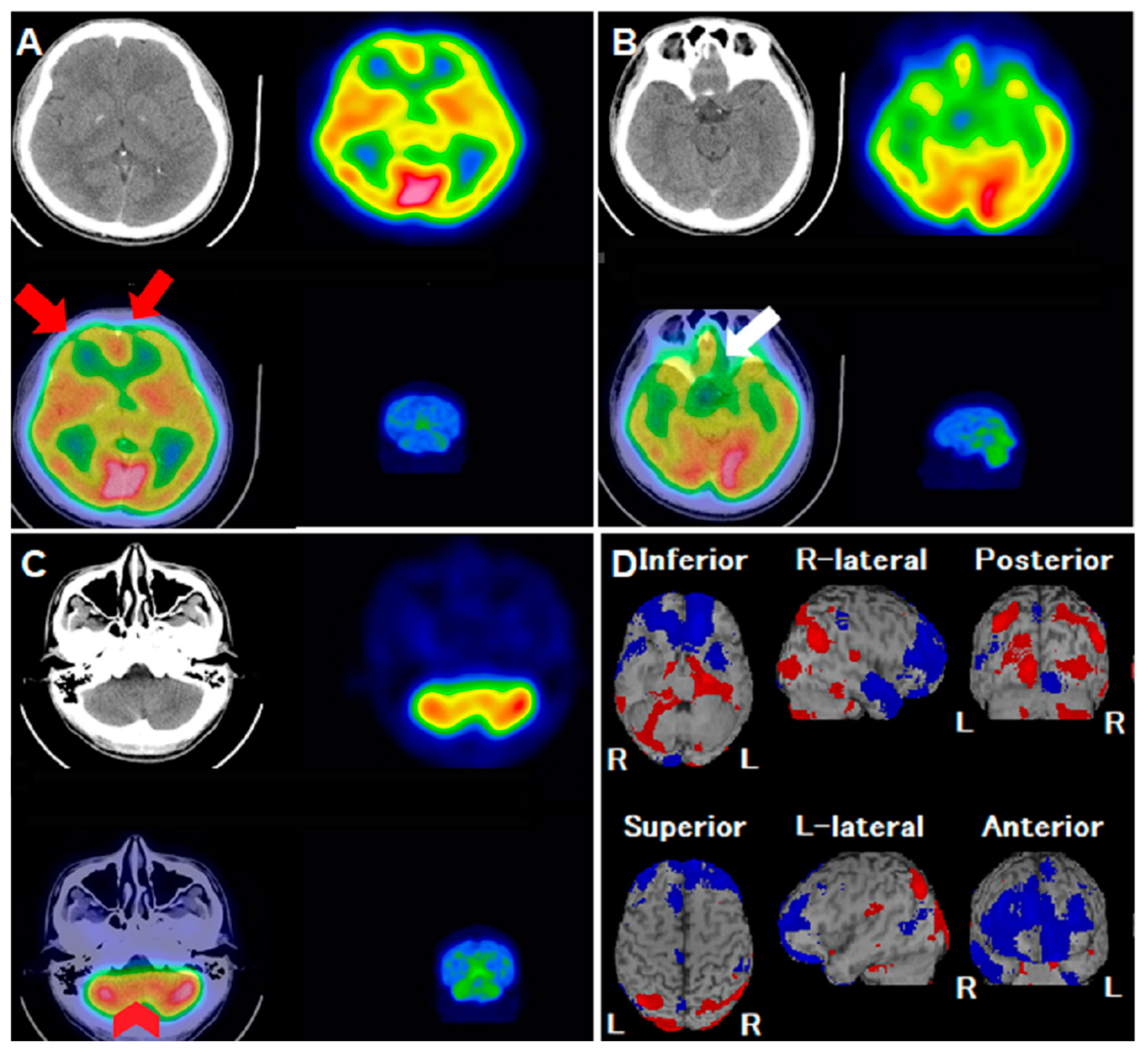 Reports 06 00058 g001