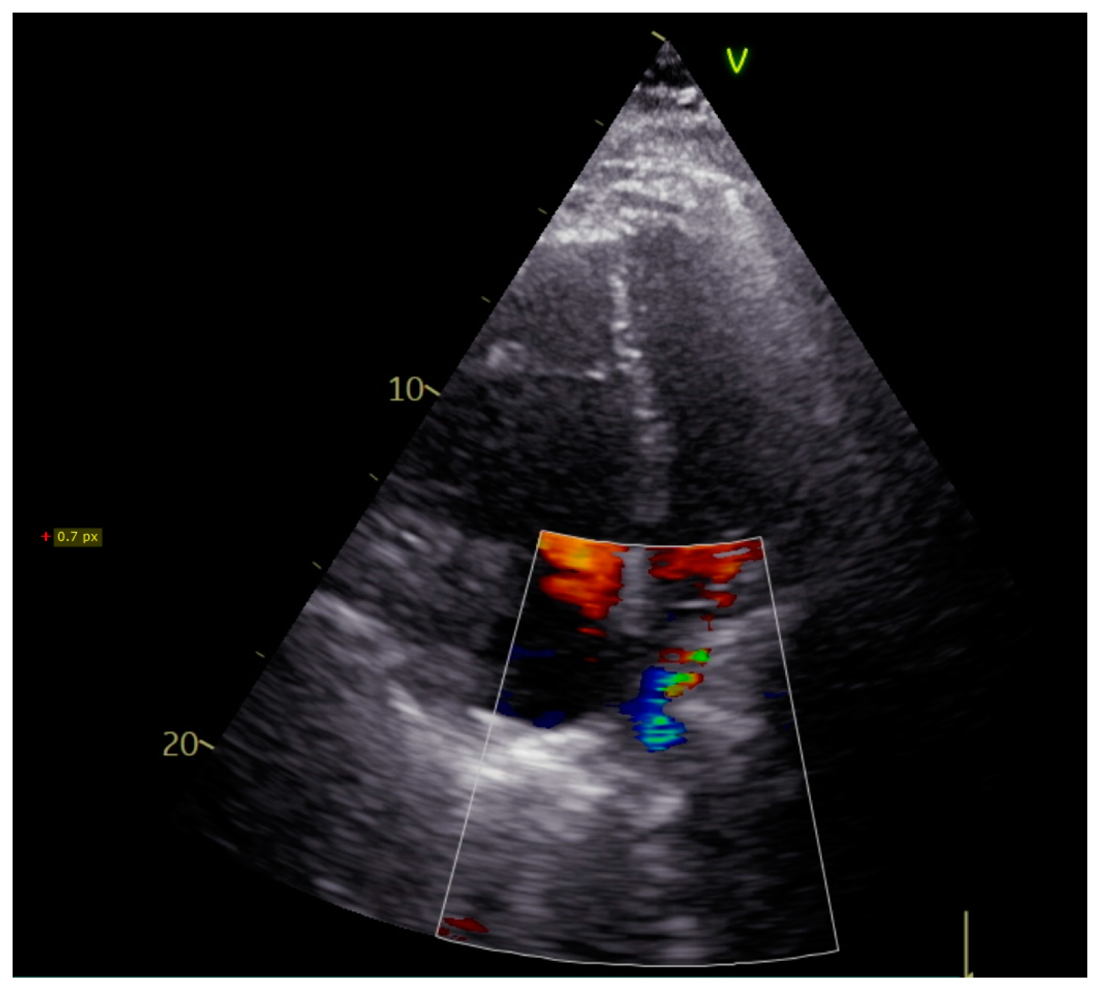 Reports 07 00002 g001