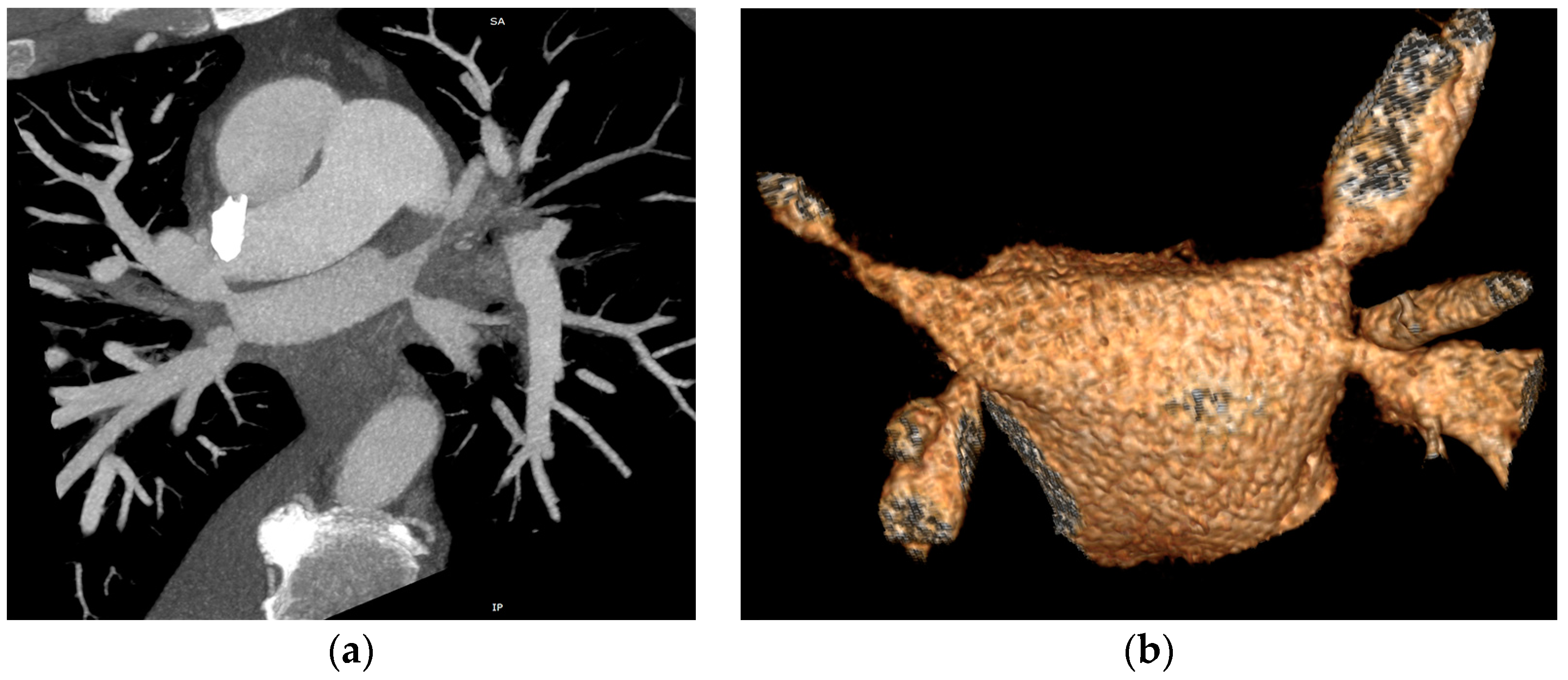 Reports 07 00002 g002