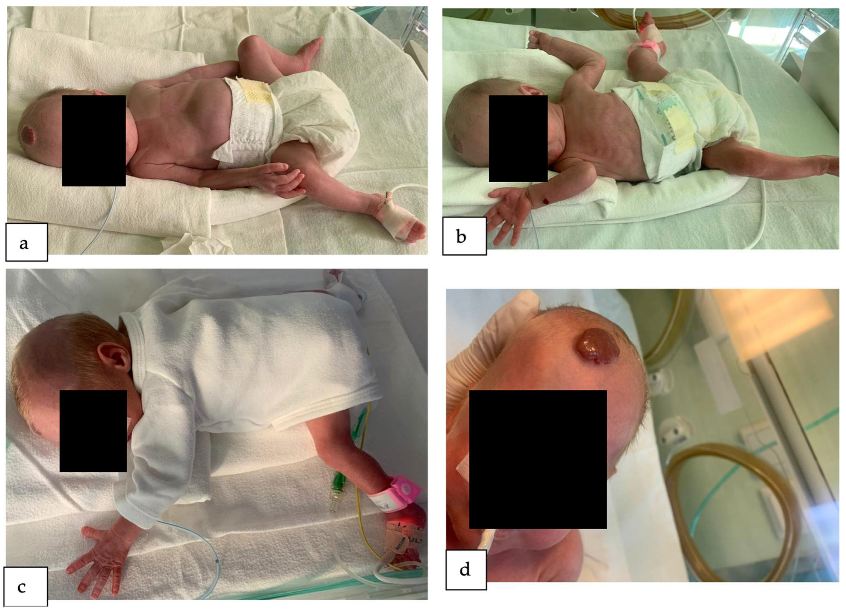 Reports 07 00003 g001