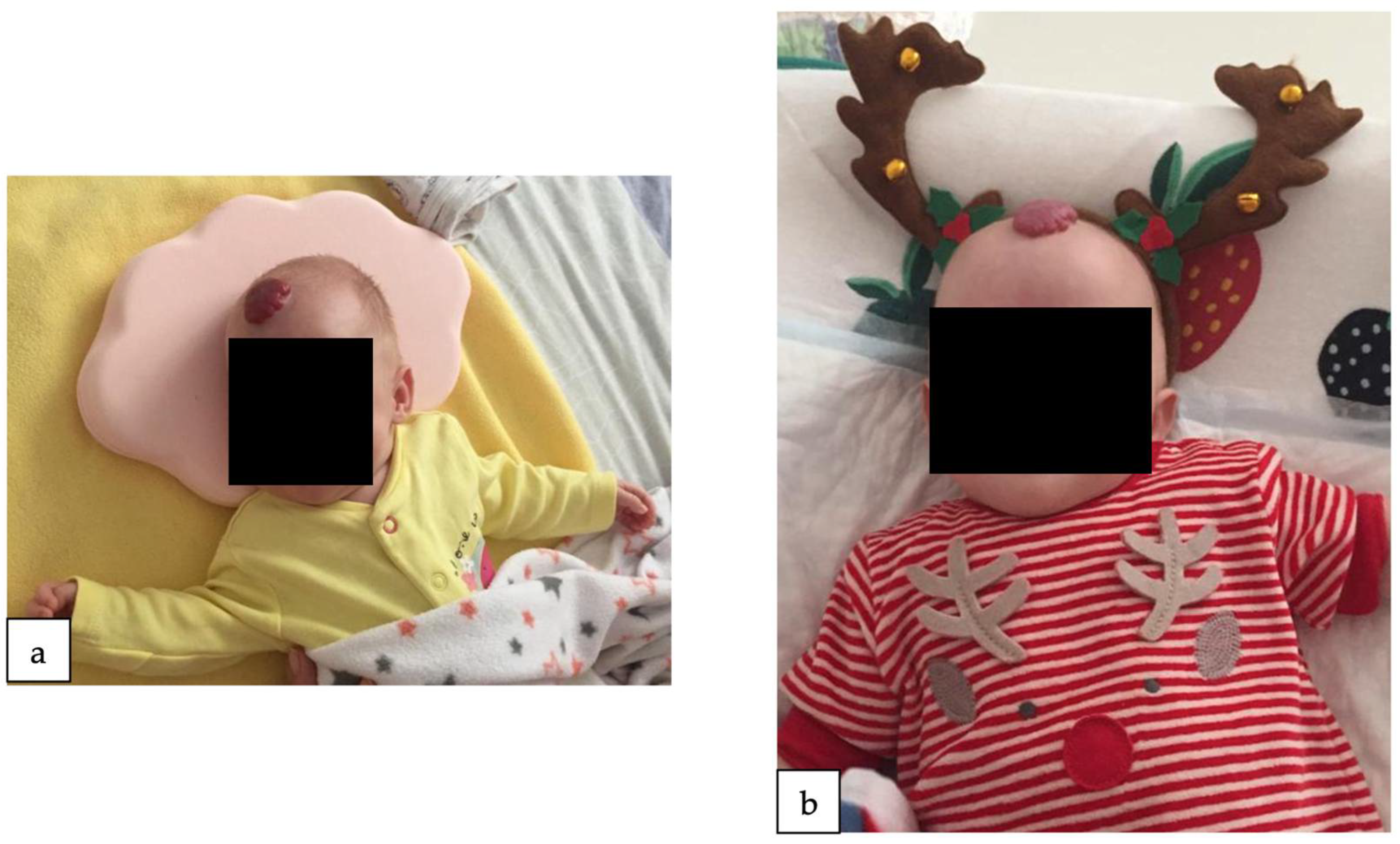 Reports 07 00003 g002