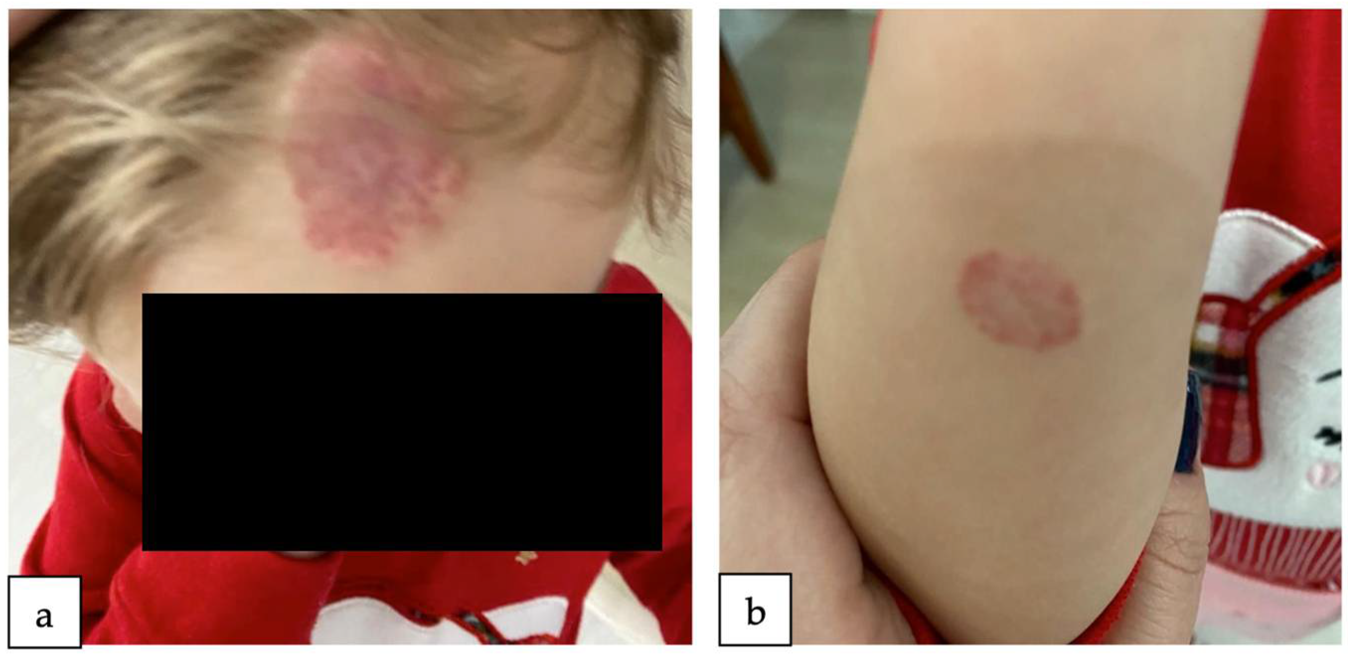 Reports 07 00003 g003