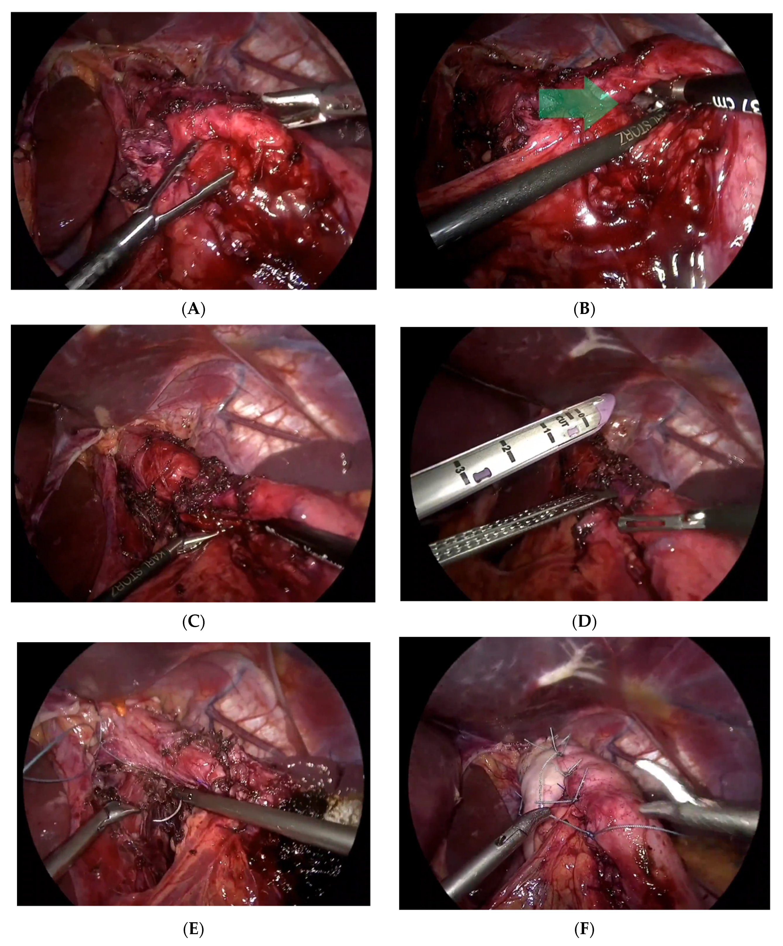 Reports 07 00012 g002