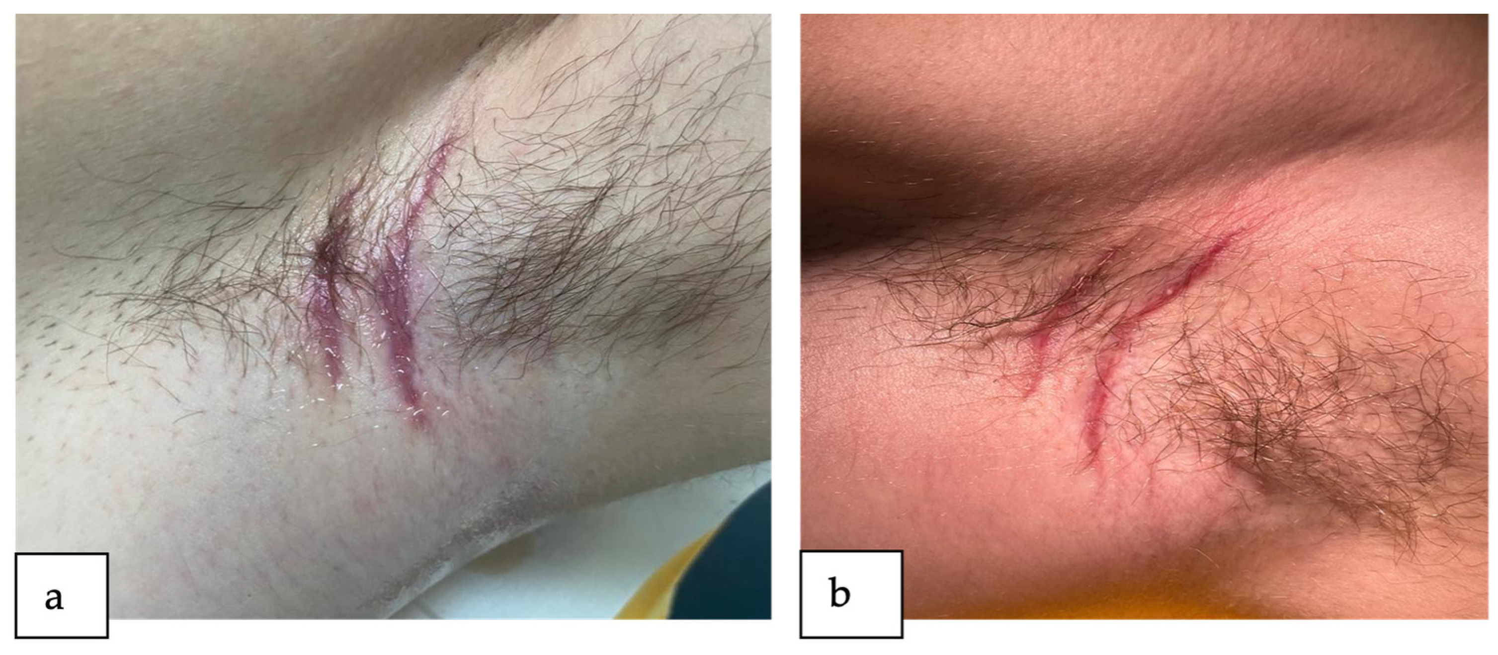 Reports 07 00013 g003