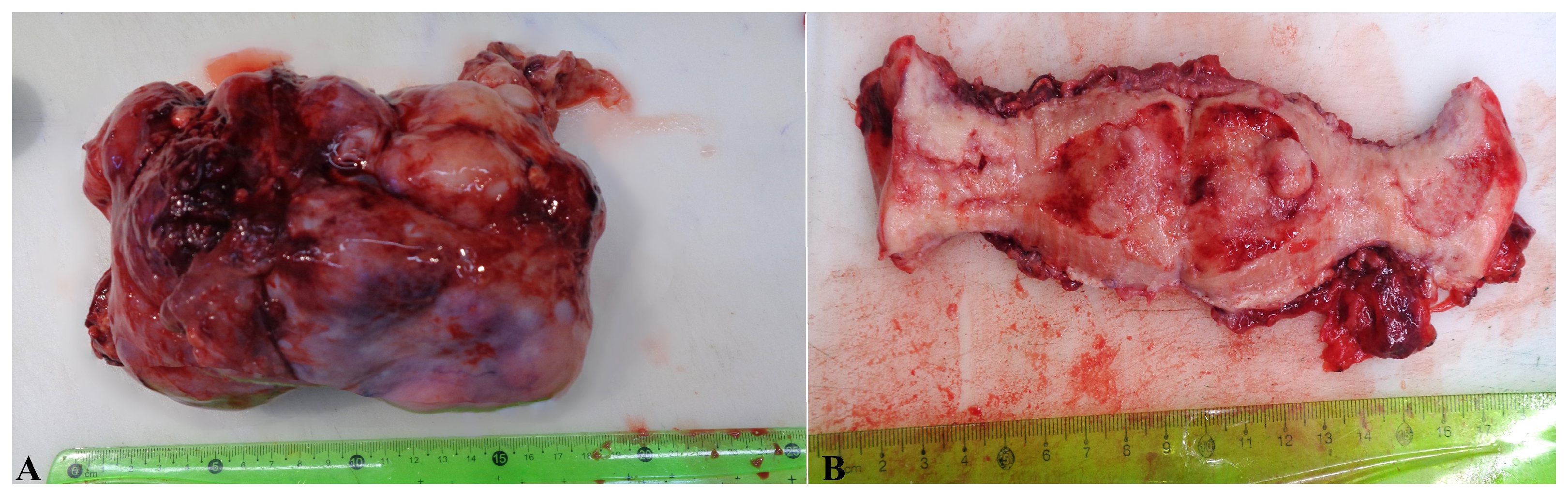 Reports 07 00014 g002