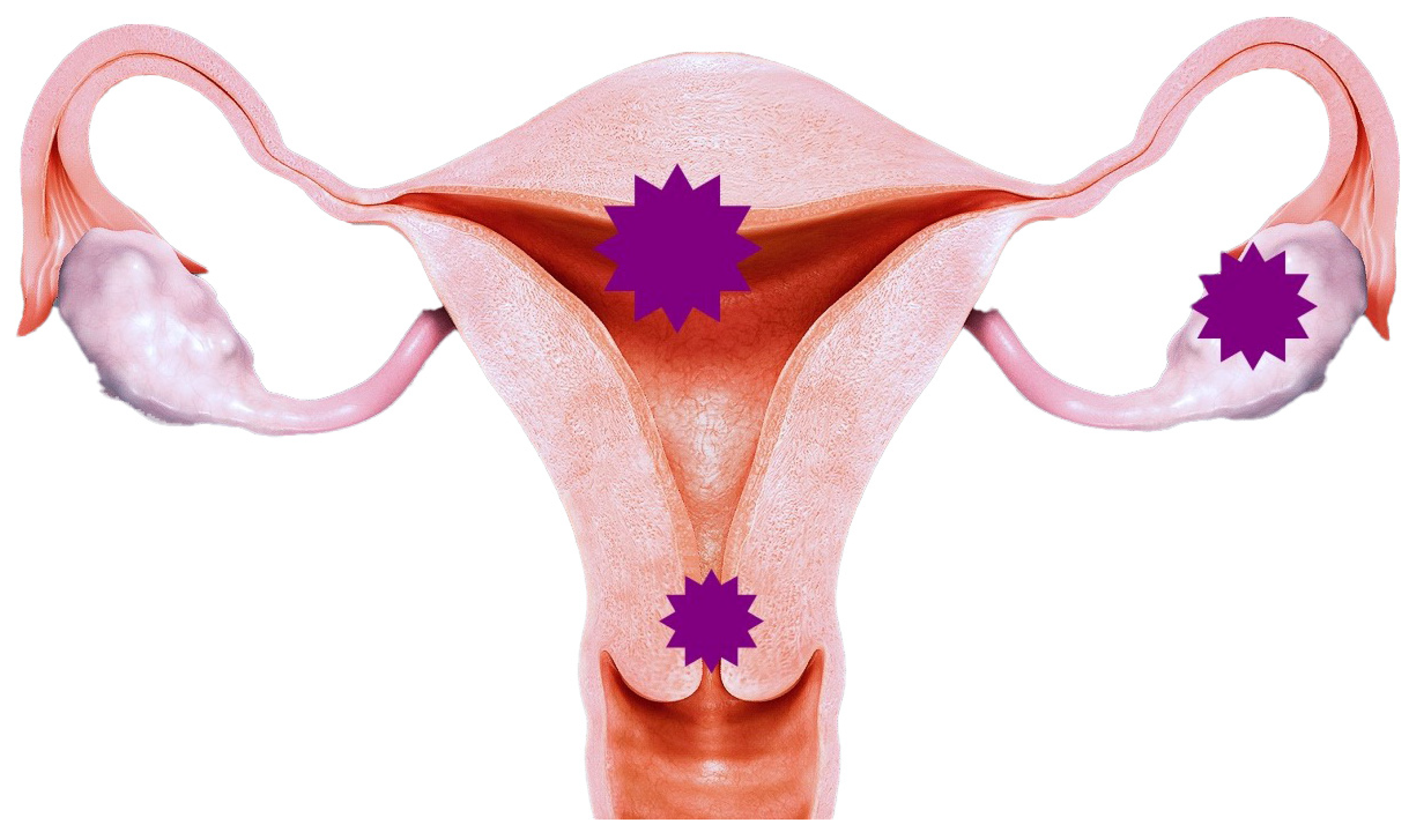 Reports 07 00014 g003