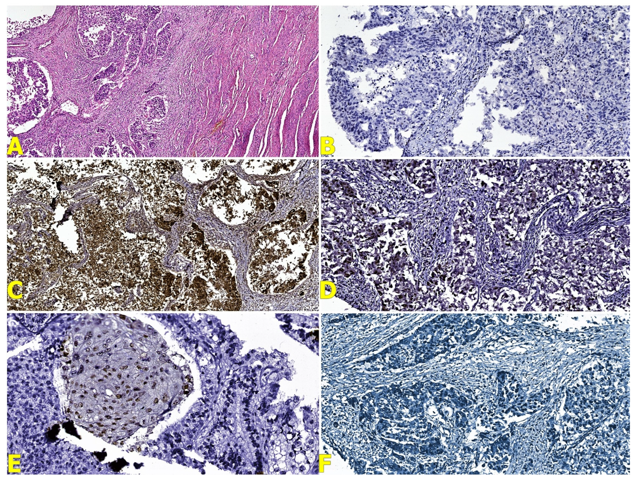 Reports 07 00014 g005