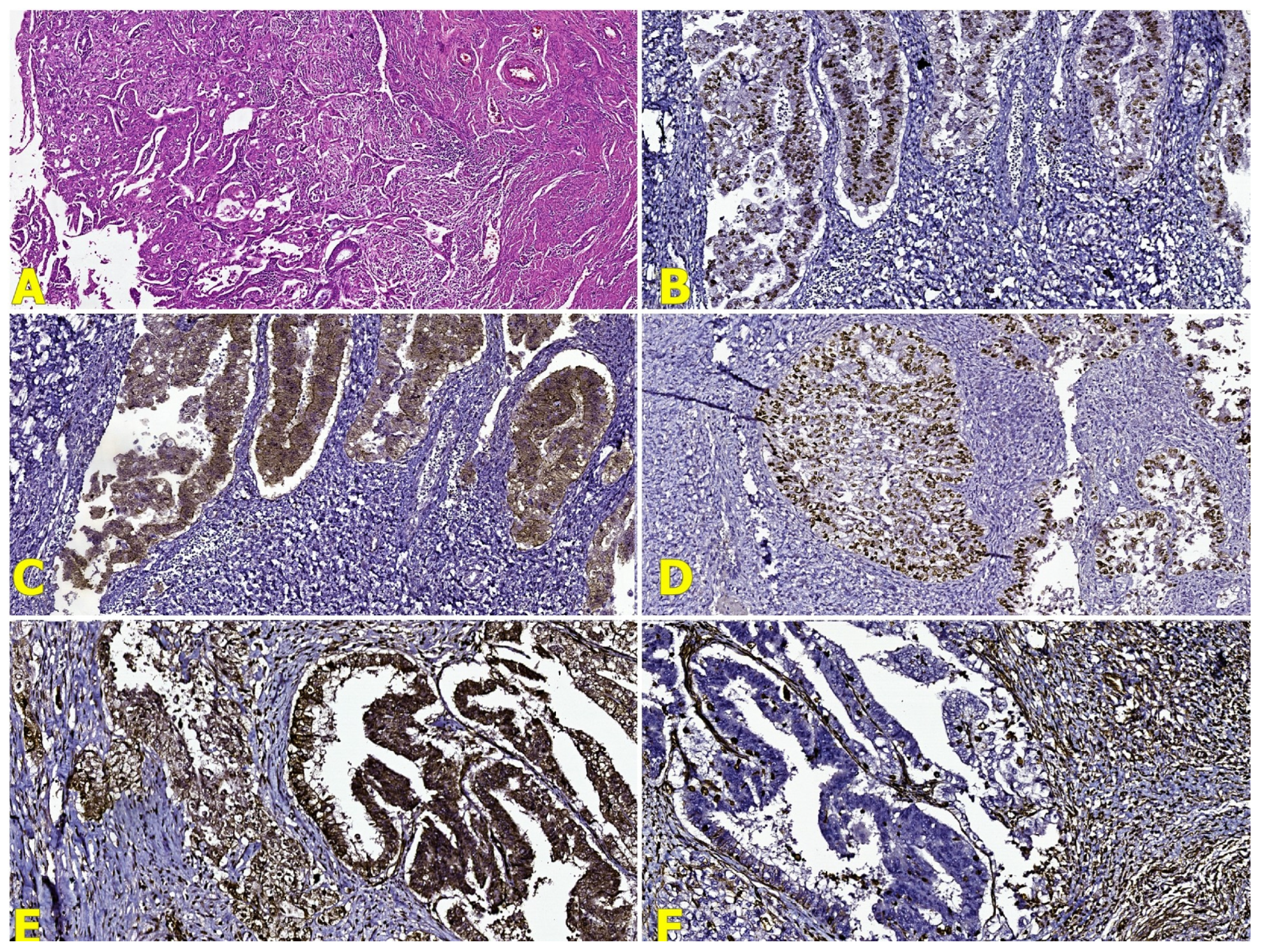 Reports 07 00014 g006