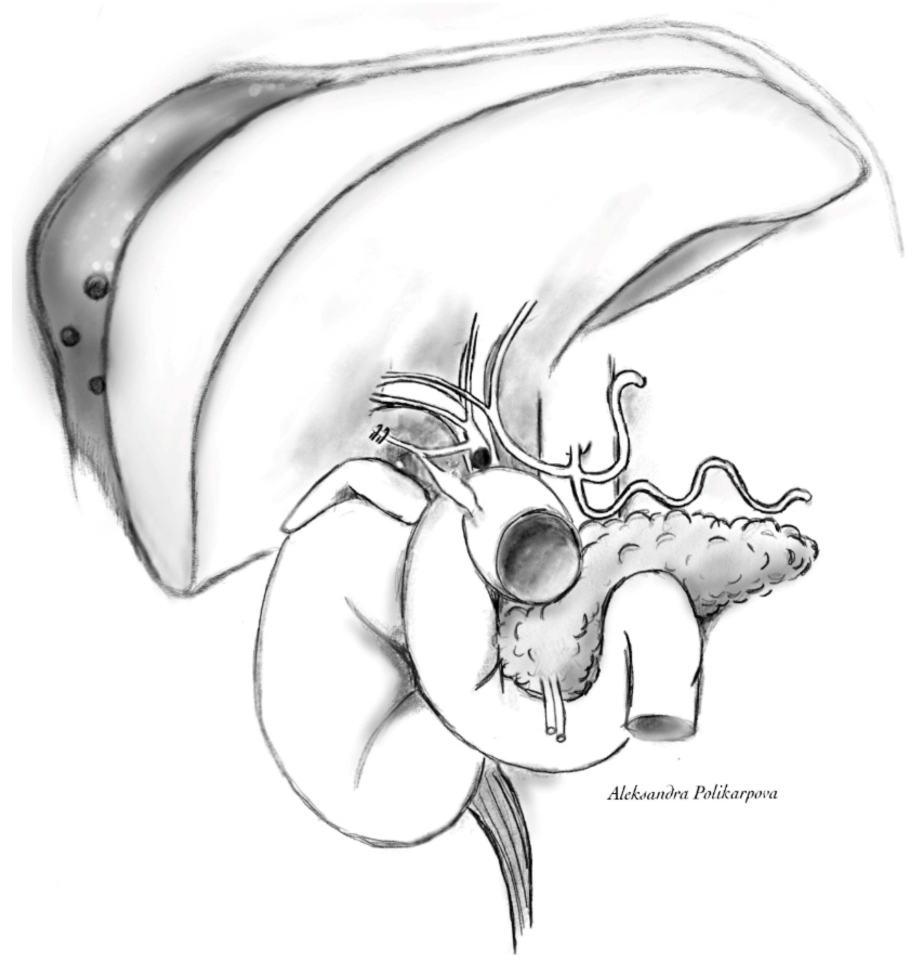 Reports 07 00016 g002