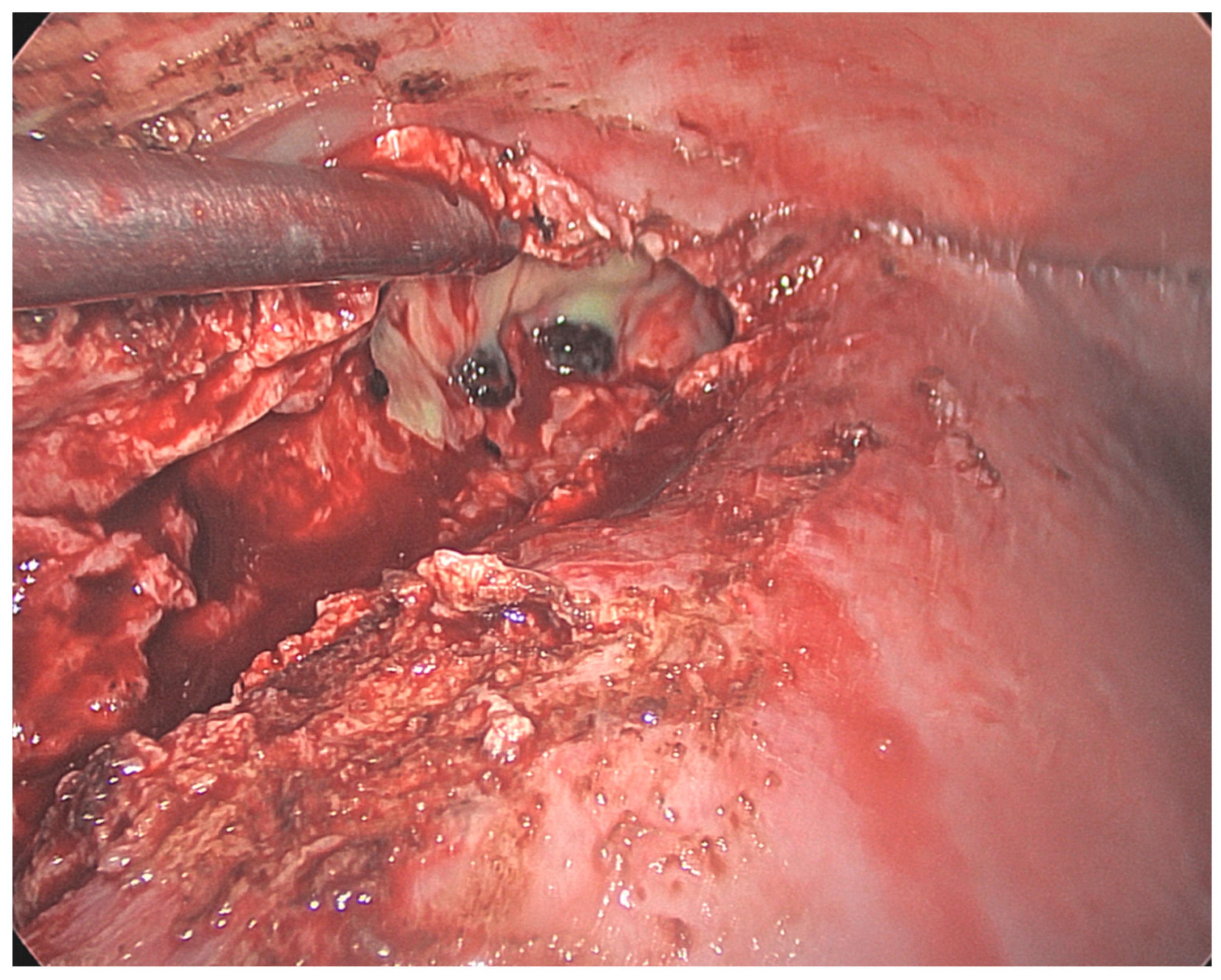 Reports 07 00016 g003