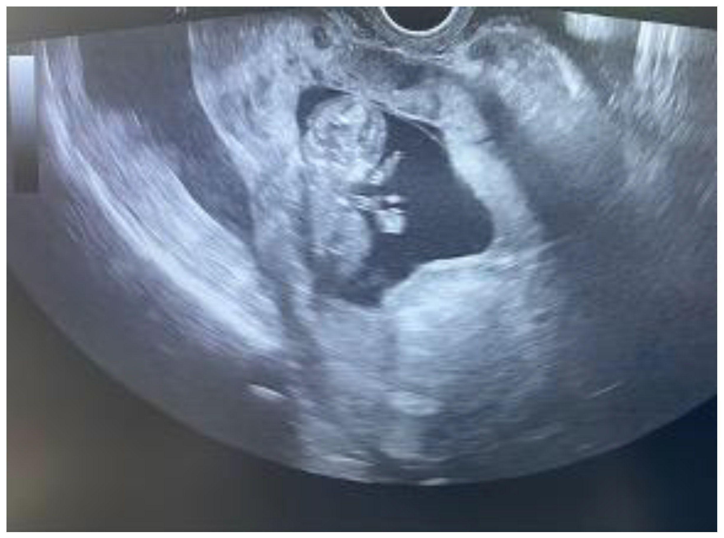 Reports 07 00021 g002