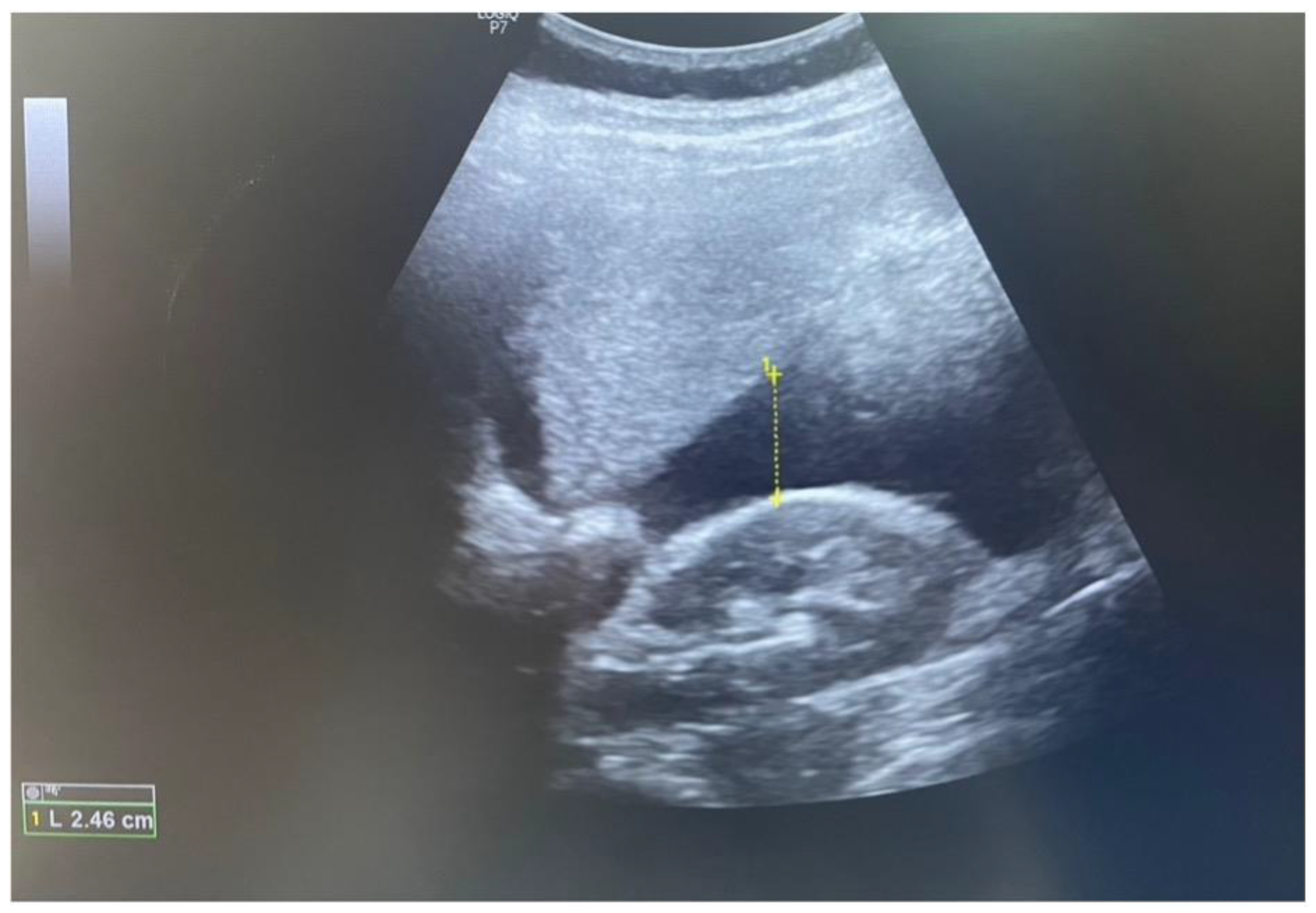 Reports 07 00021 g003