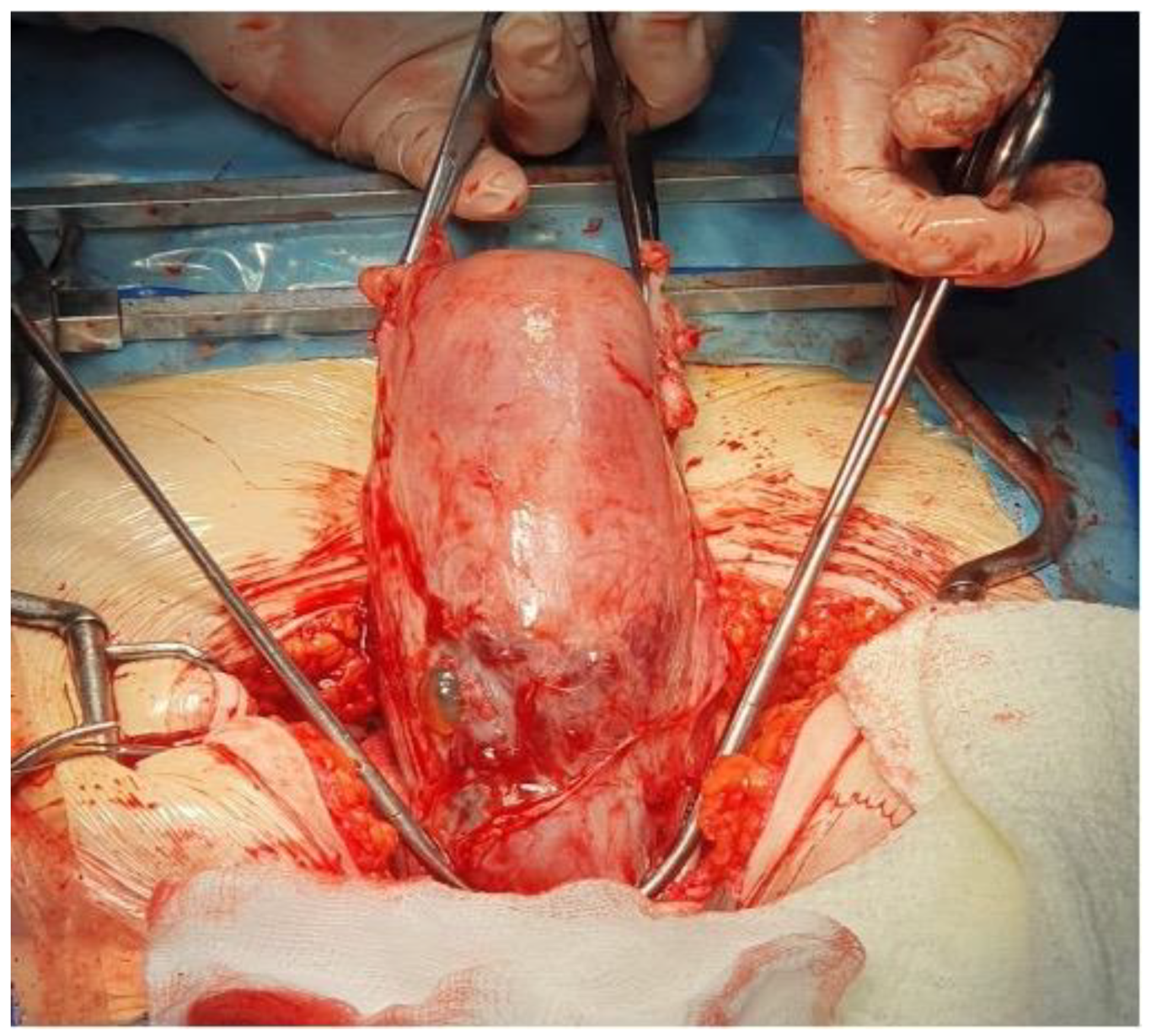 Reports 07 00021 g004