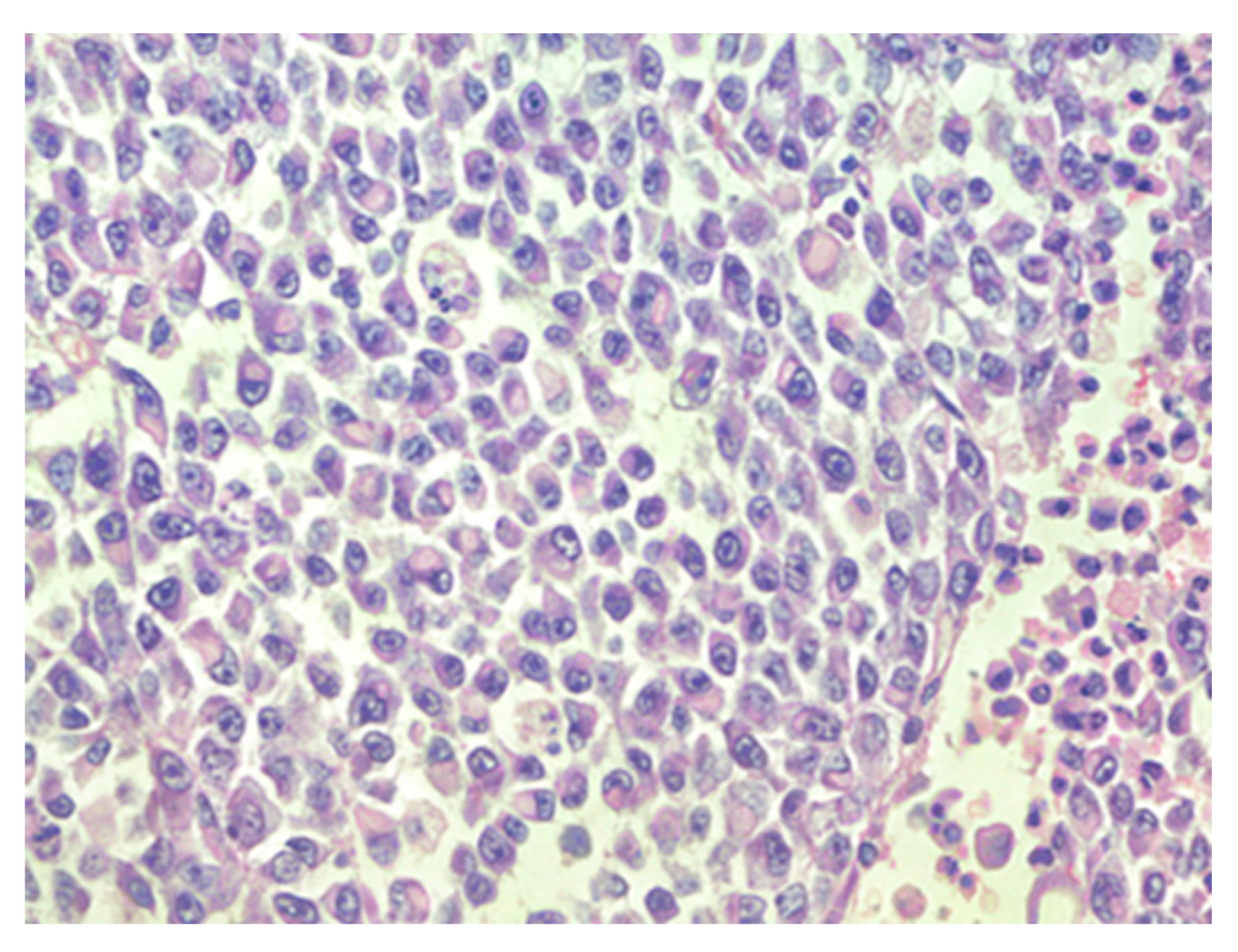 Reports 07 00028 g002