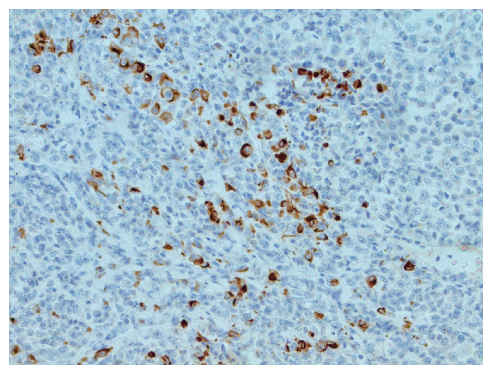 Reports 07 00028 g004