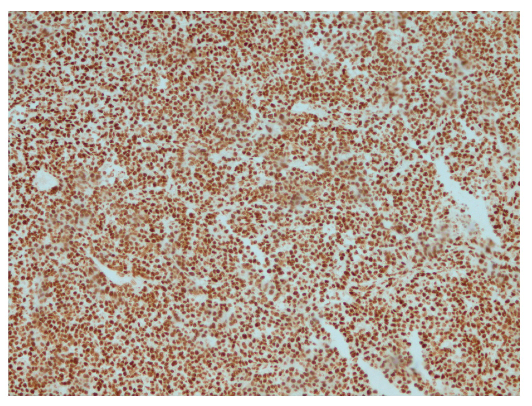 Reports 07 00028 g006