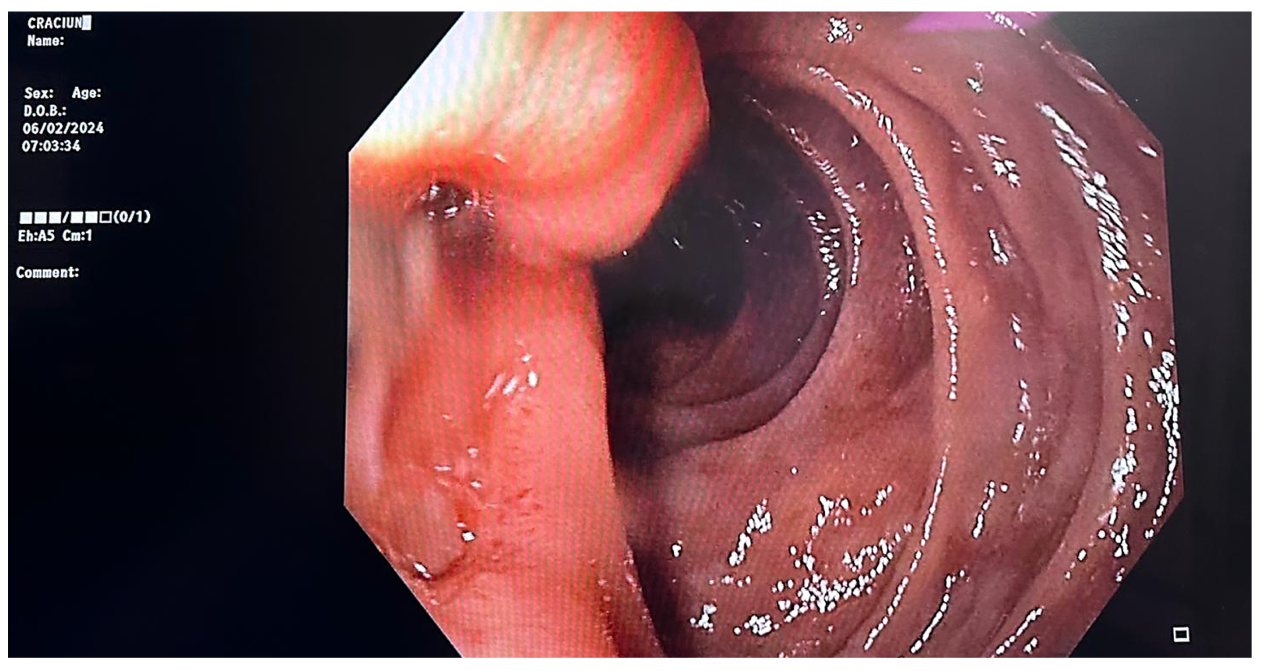 Reports 07 00030 g001