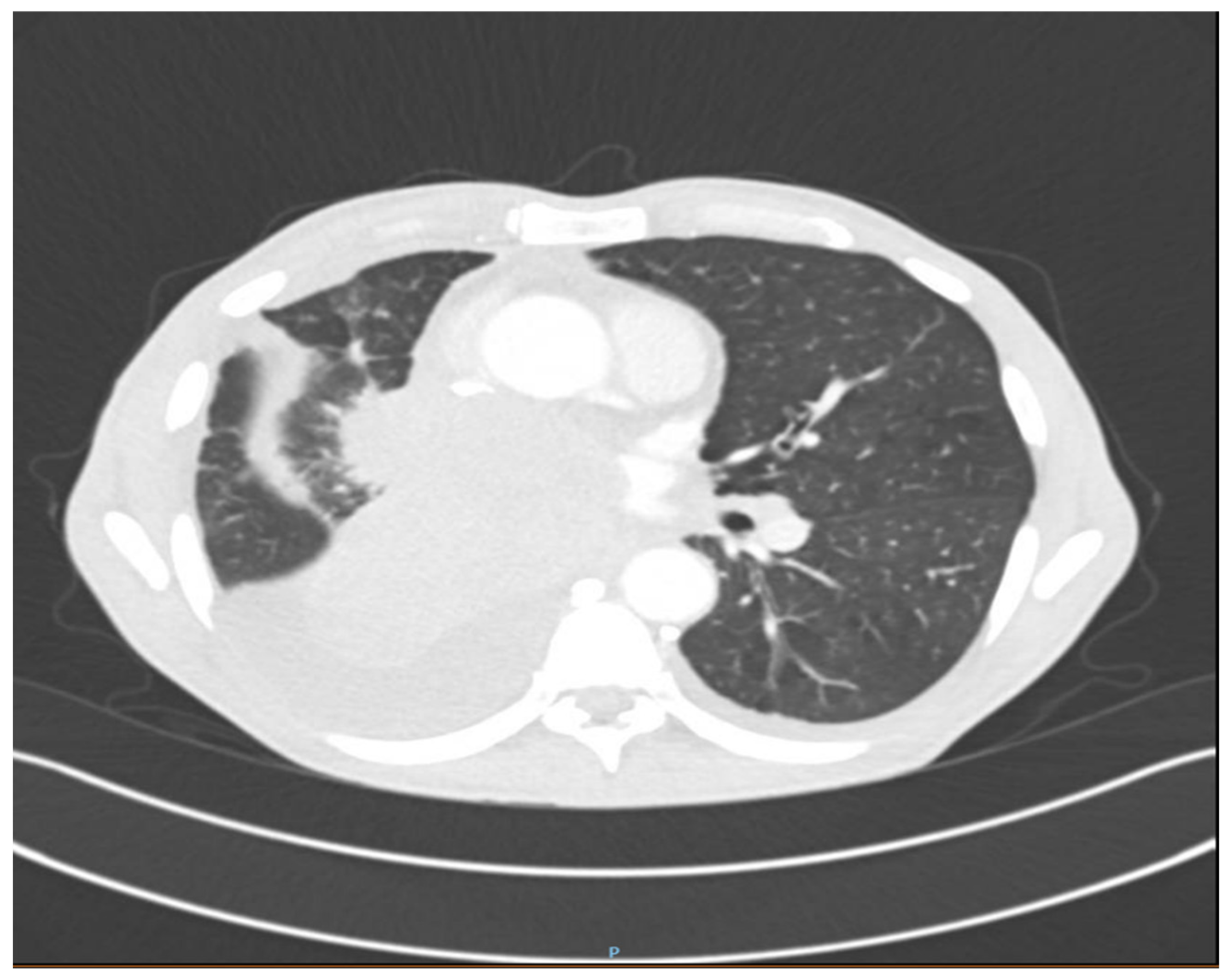 Reports 07 00030 g002