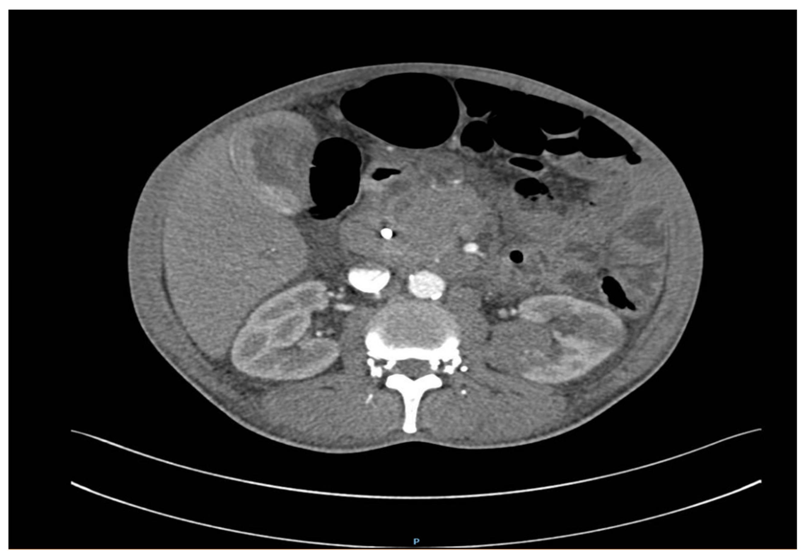 Reports 07 00030 g003