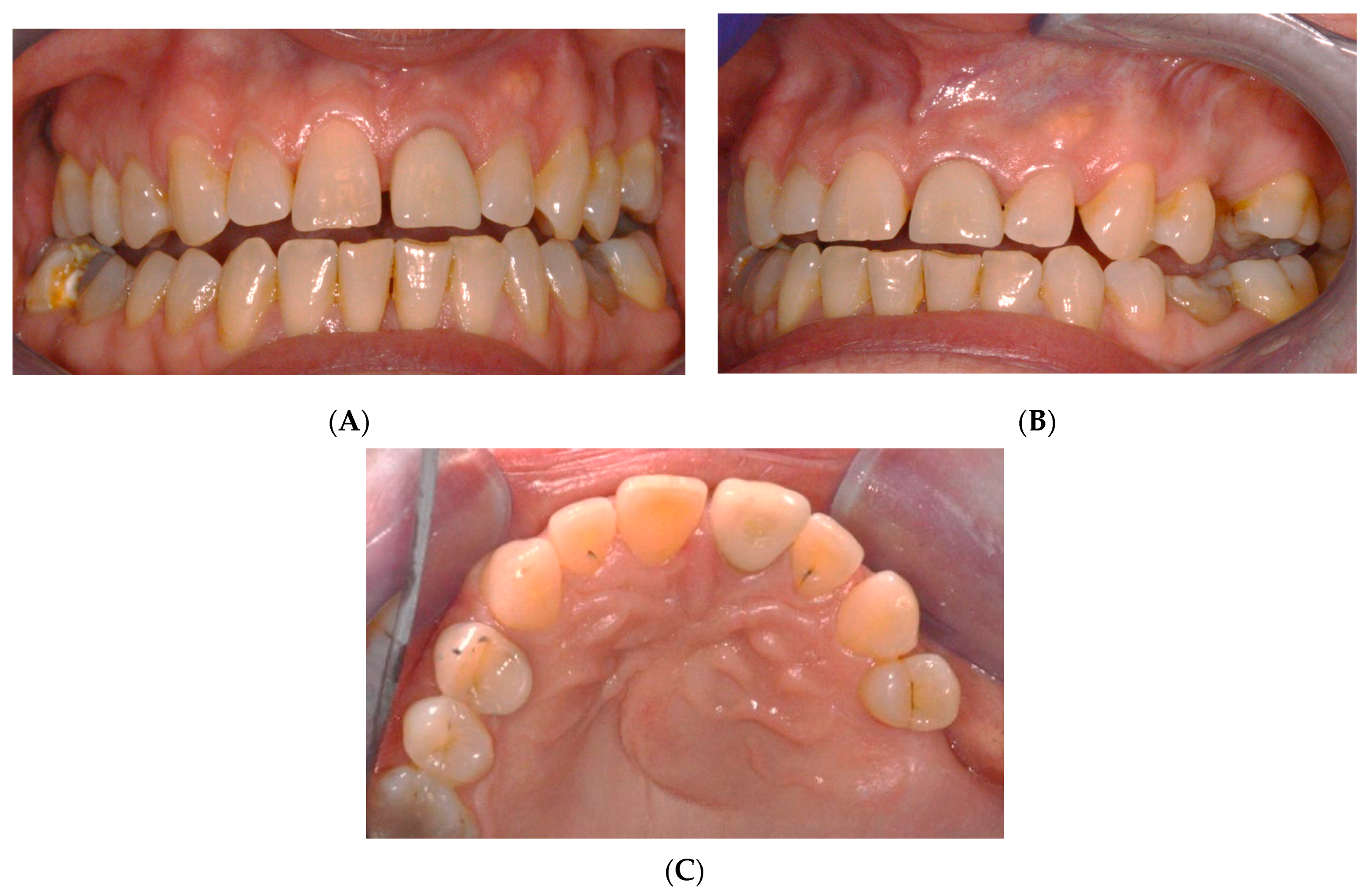 Reports 07 00032 g001