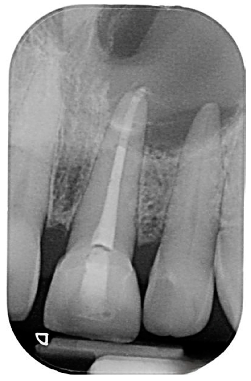 Reports 07 00032 g003