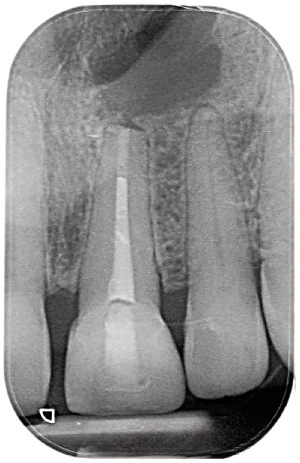 Reports 07 00032 g007