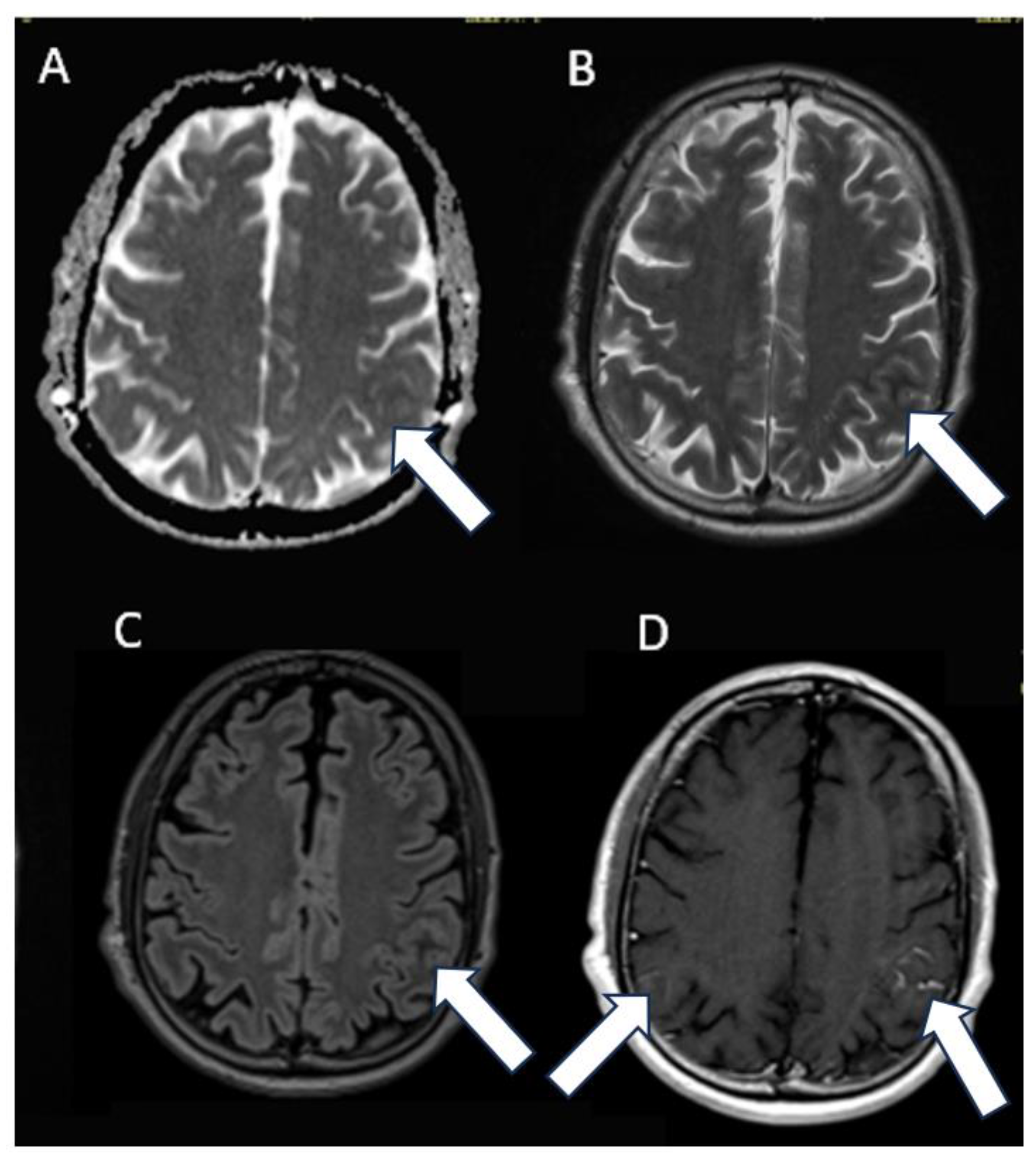 Reports 07 00034 g002