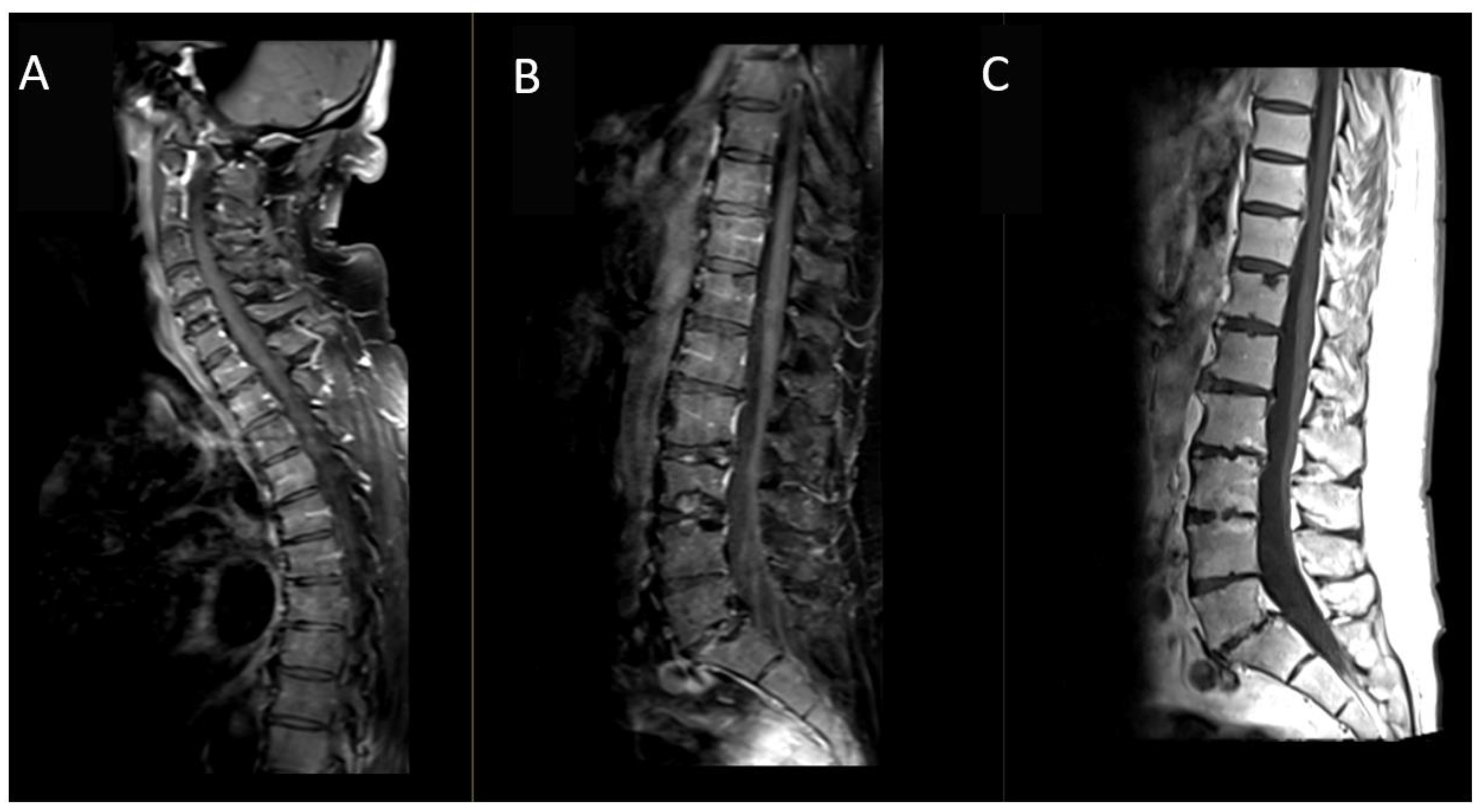 Reports 07 00034 g003