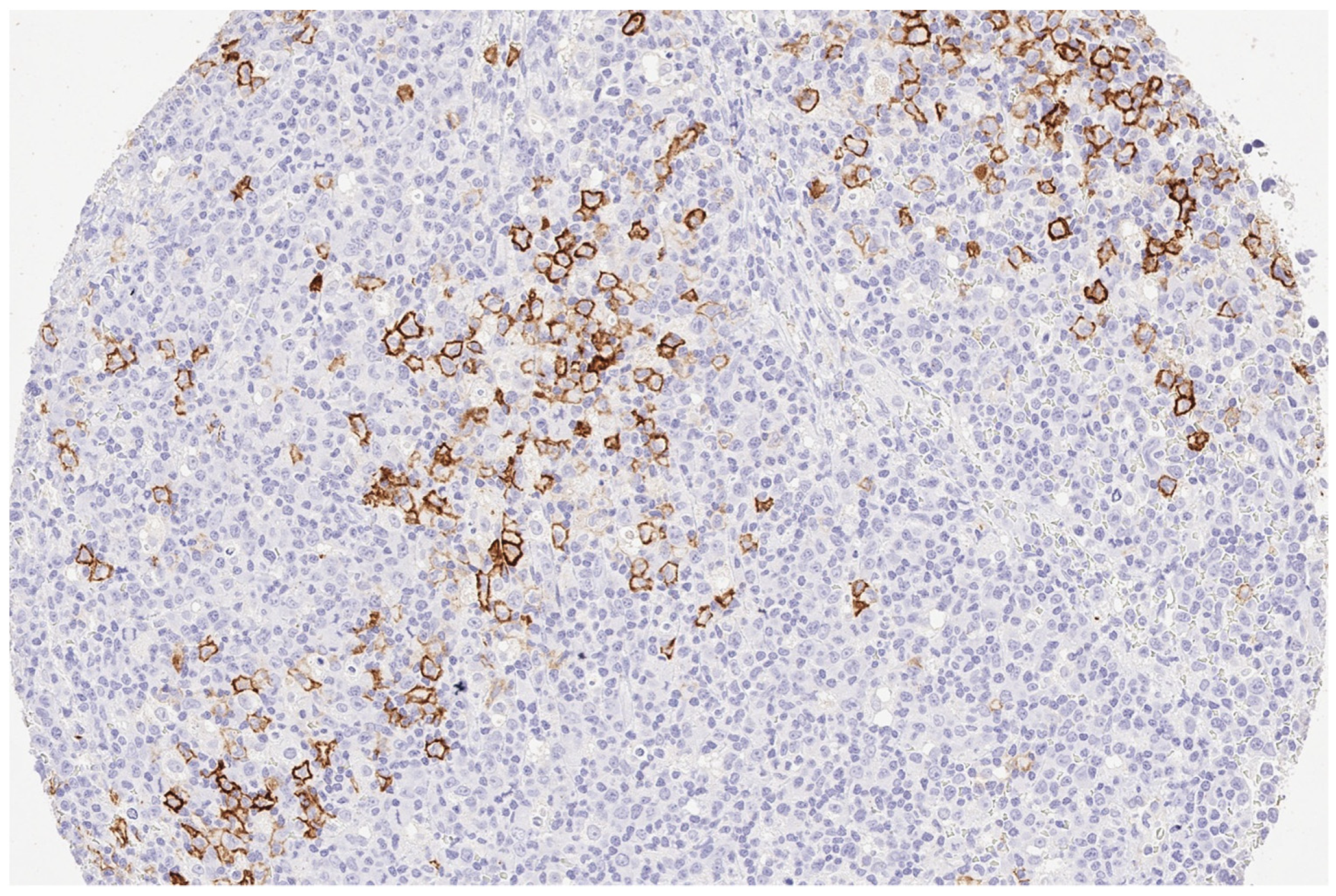 Reports 07 00037 g002